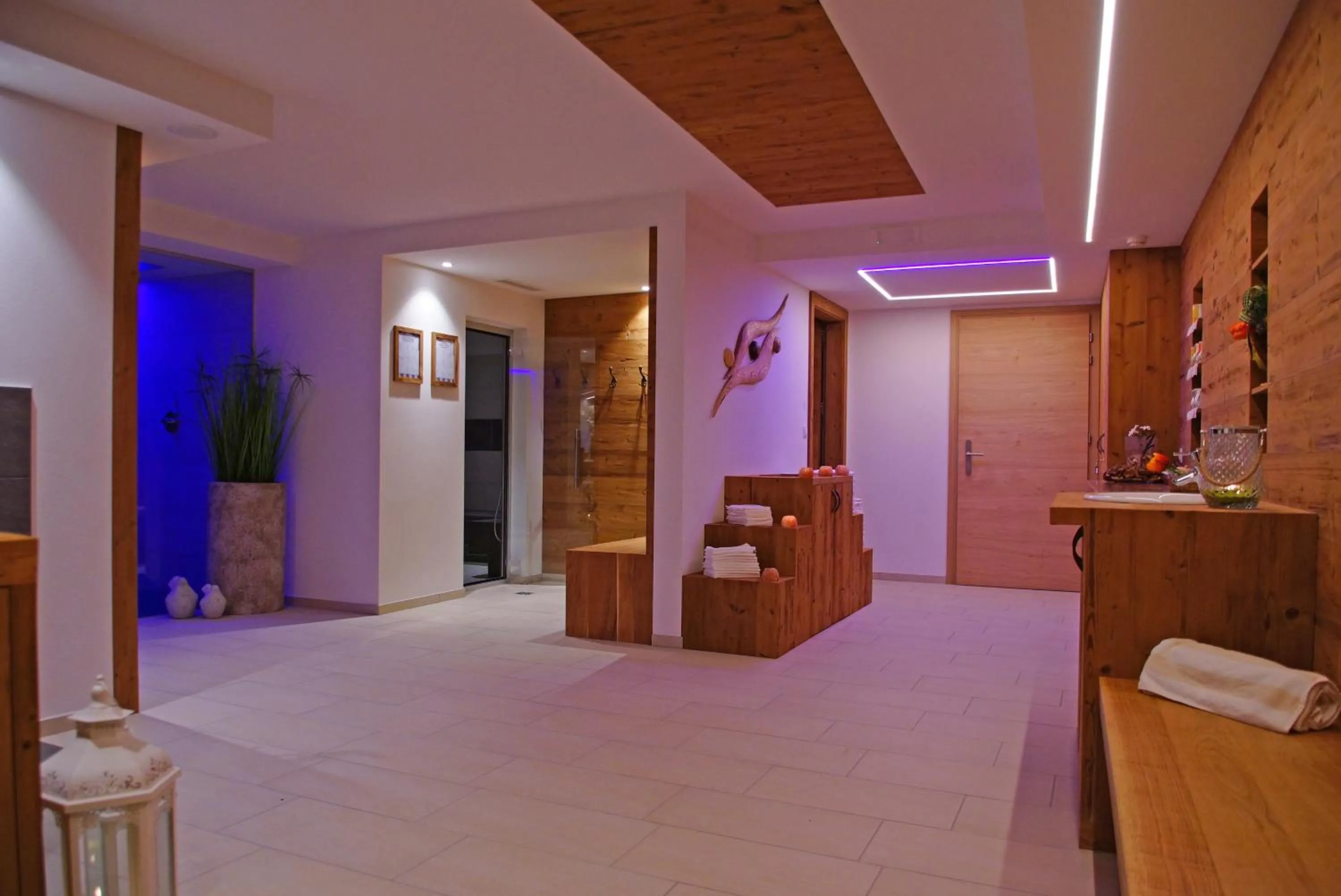 Spa and wellness centre/facilities in La Palsa