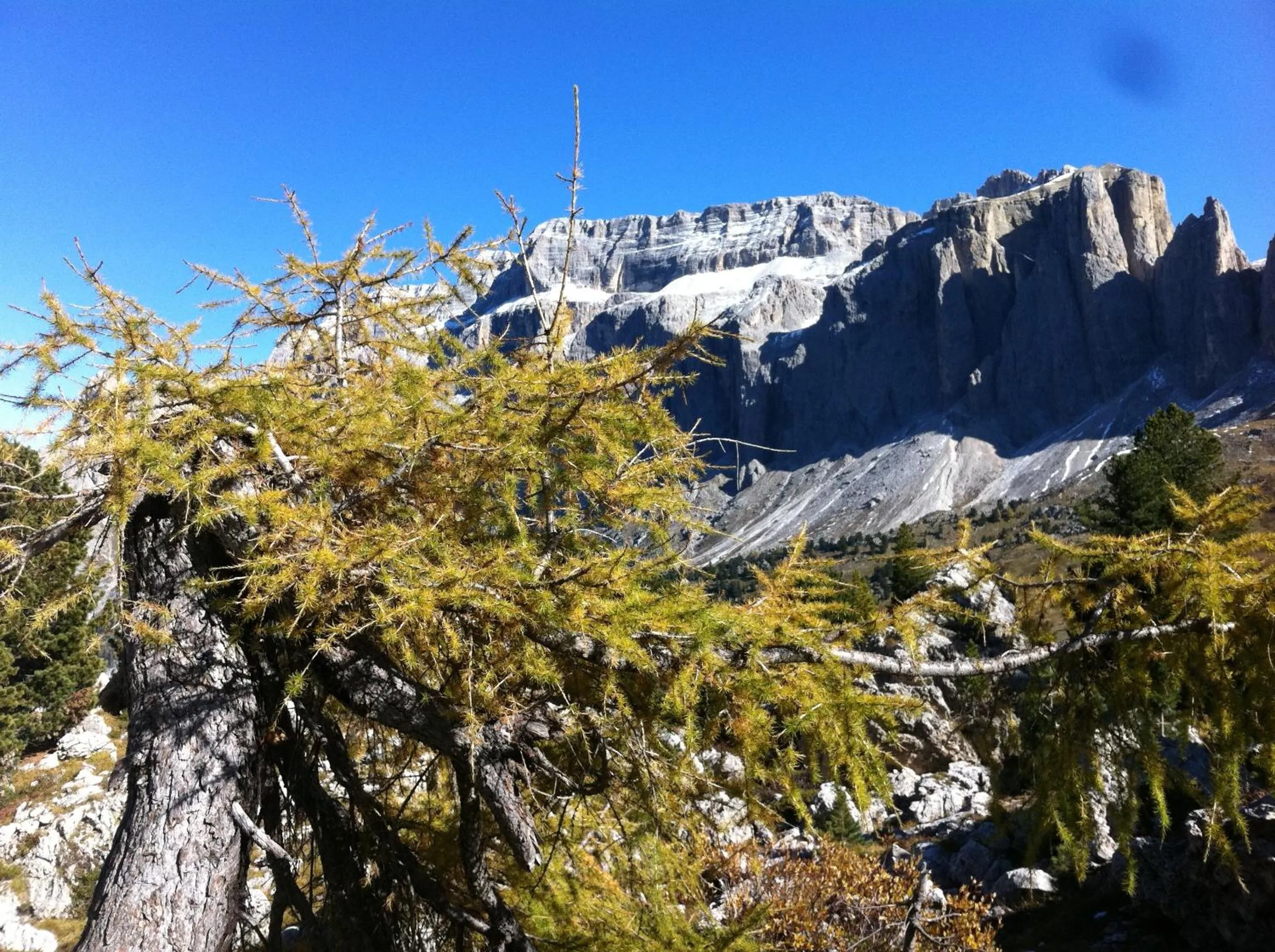 Natural landscape in Garni la Bercia