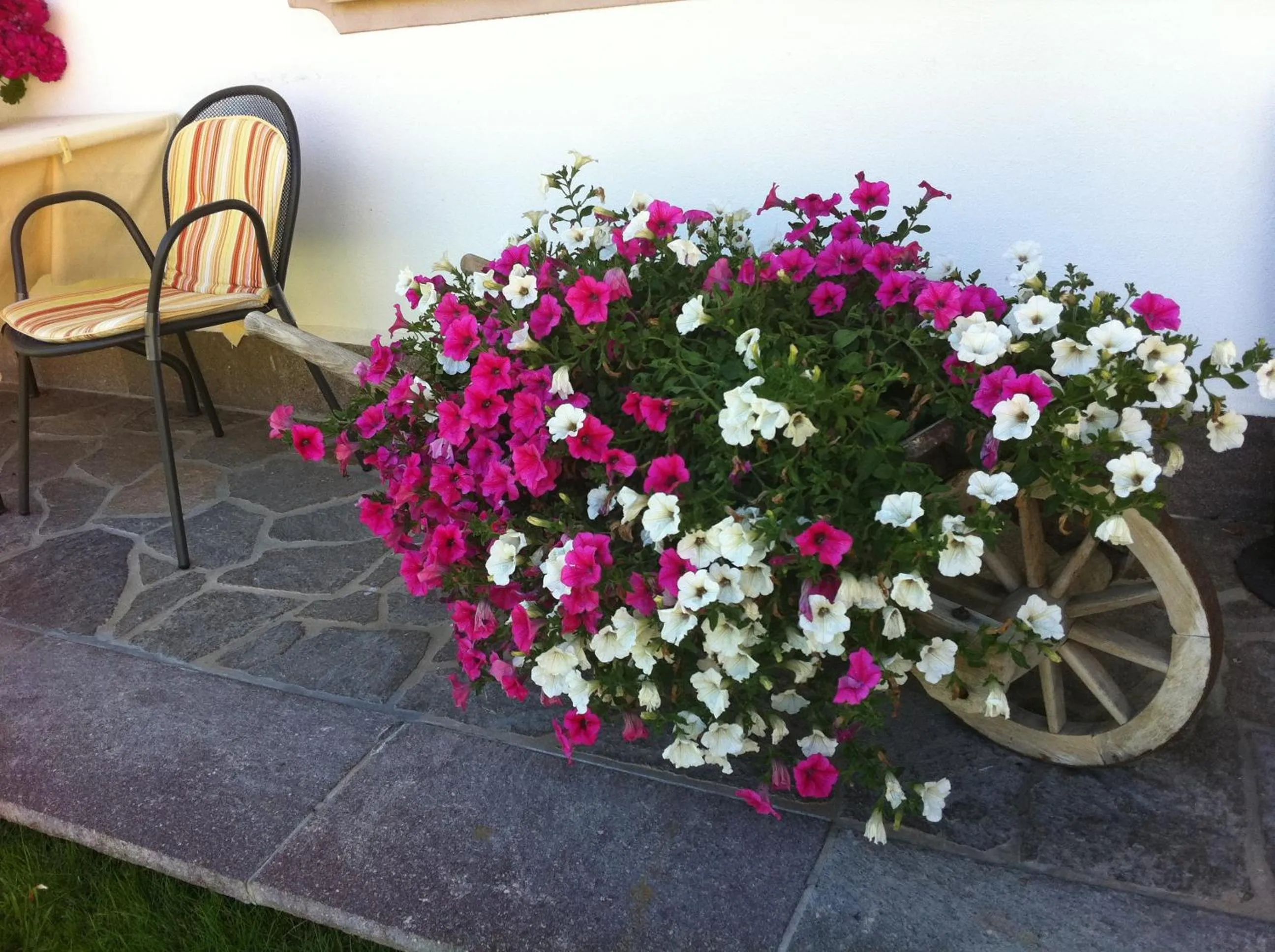 Garden in Garni la Bercia