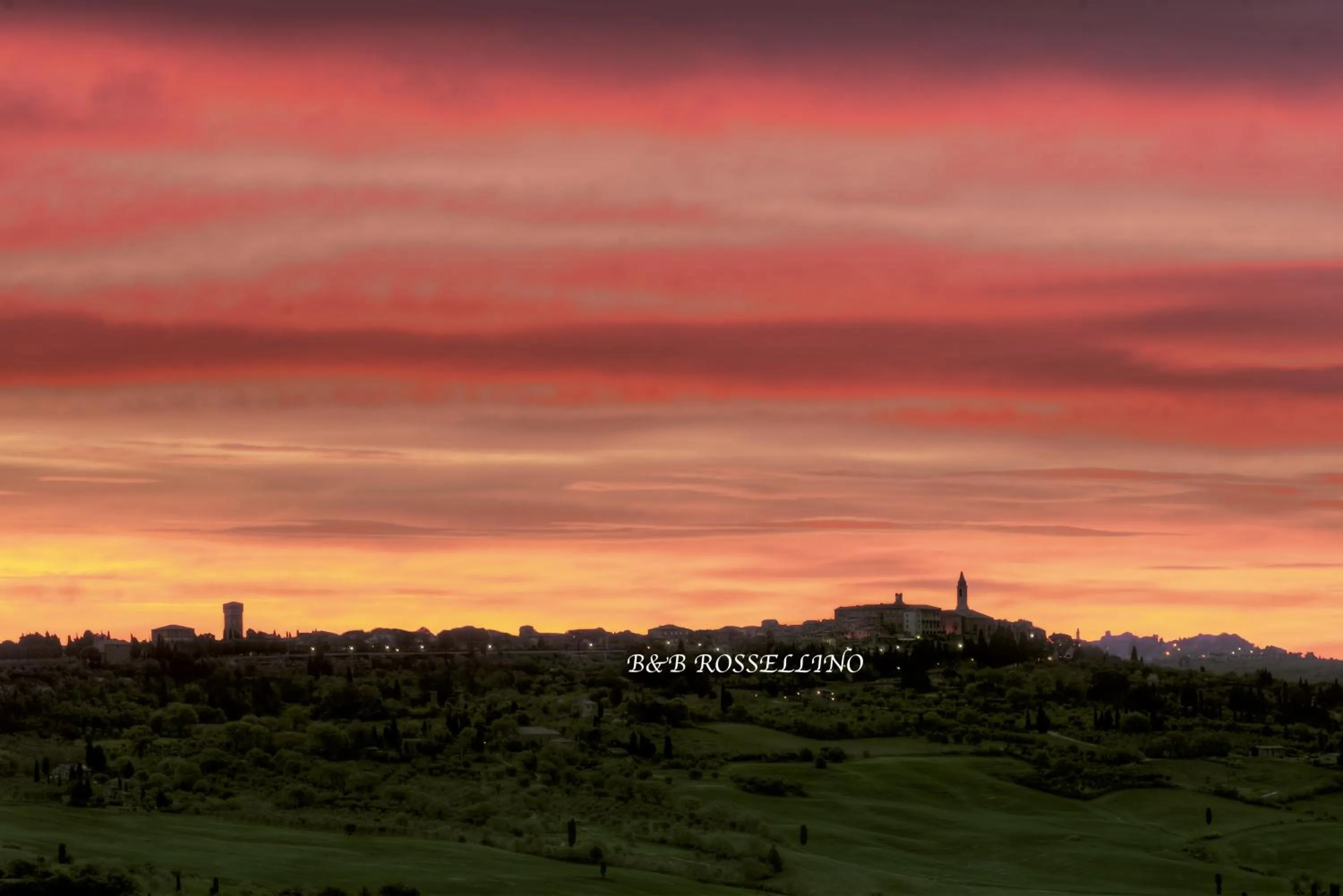 Other in ROSSELLINO®