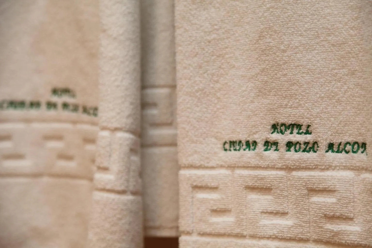 Hotel Ciudad Pozo Alcón