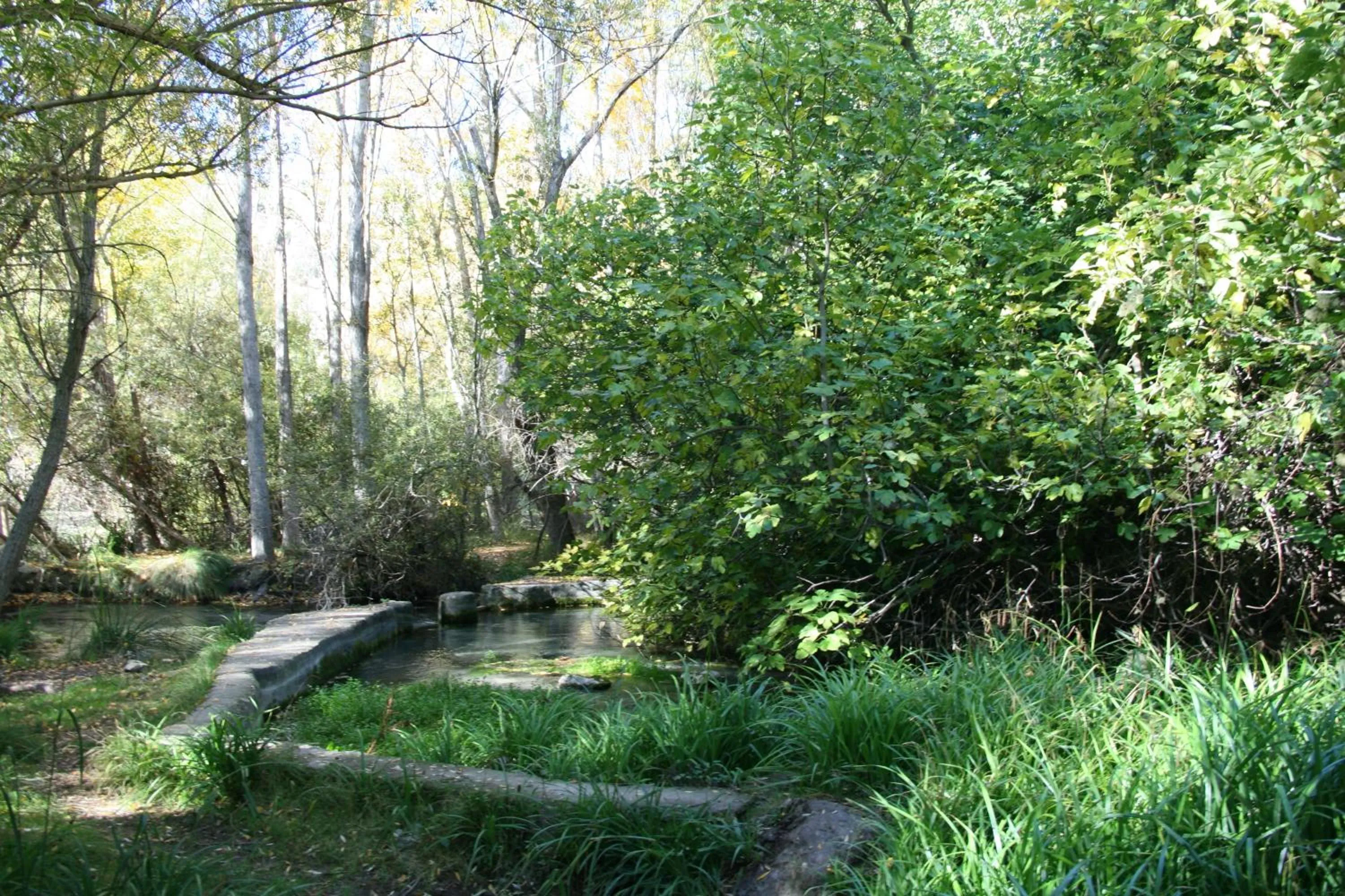 Hotel Ciudad Pozo Alcón