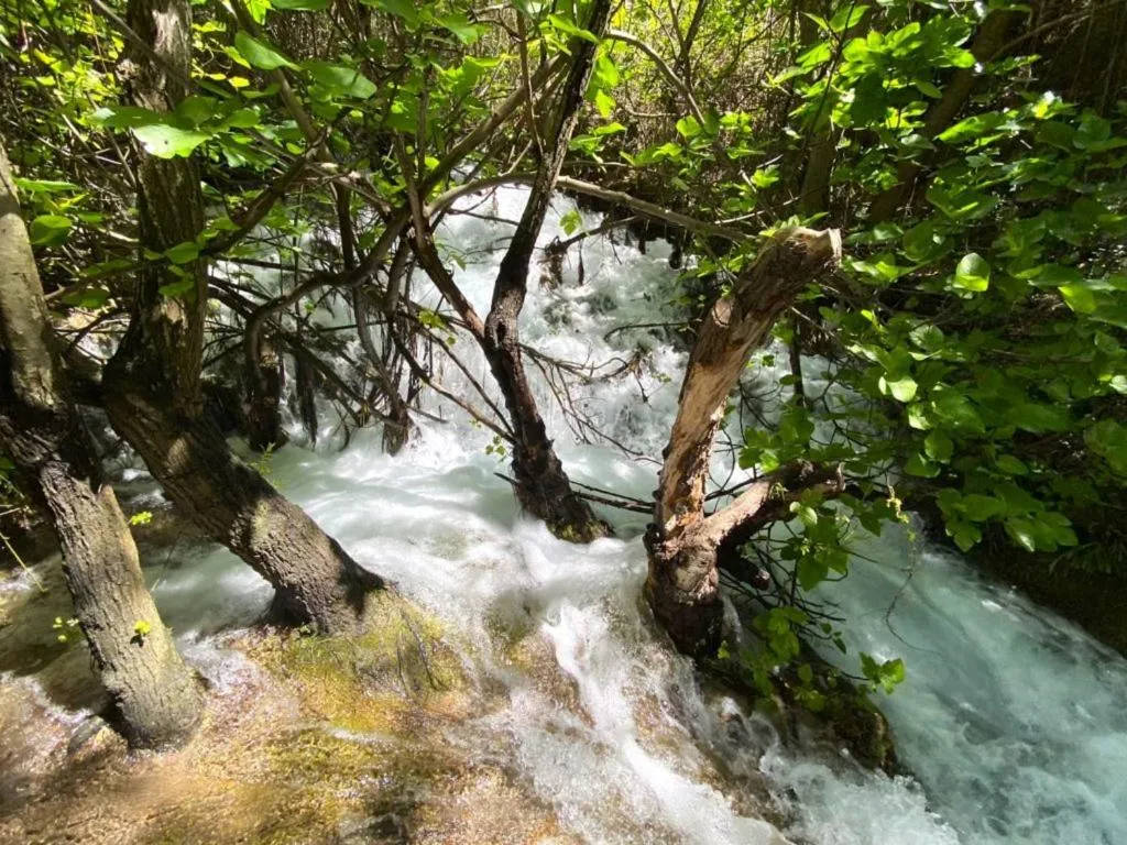 Hotel Ciudad Pozo Alcón