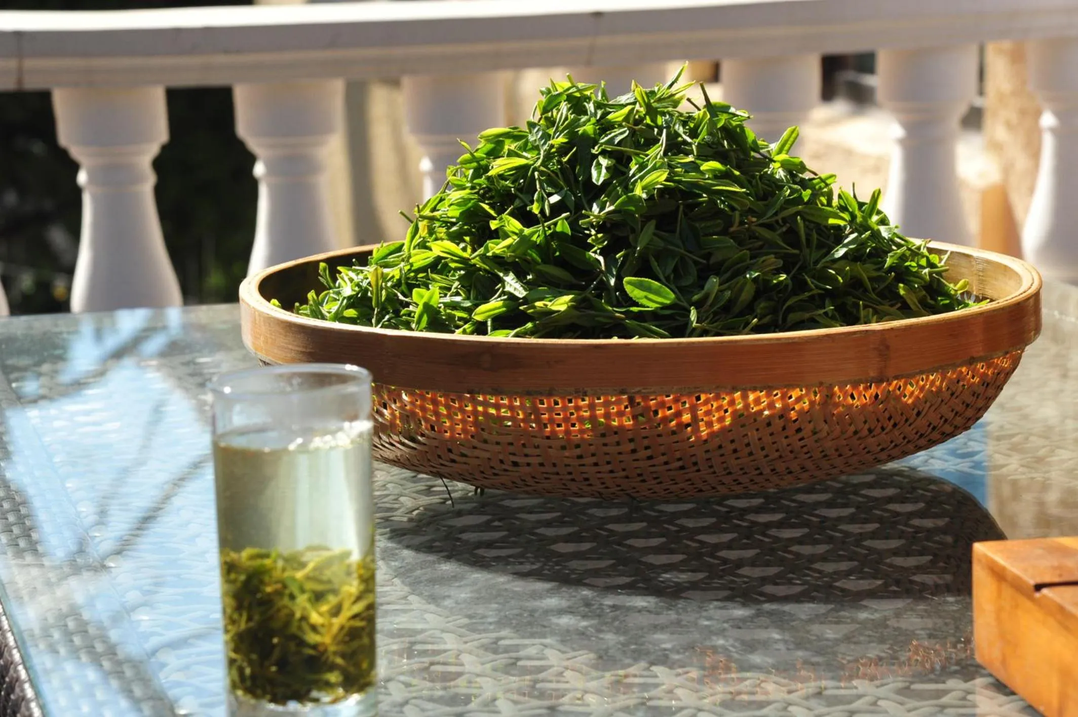 Nordic Memory in Qingdao