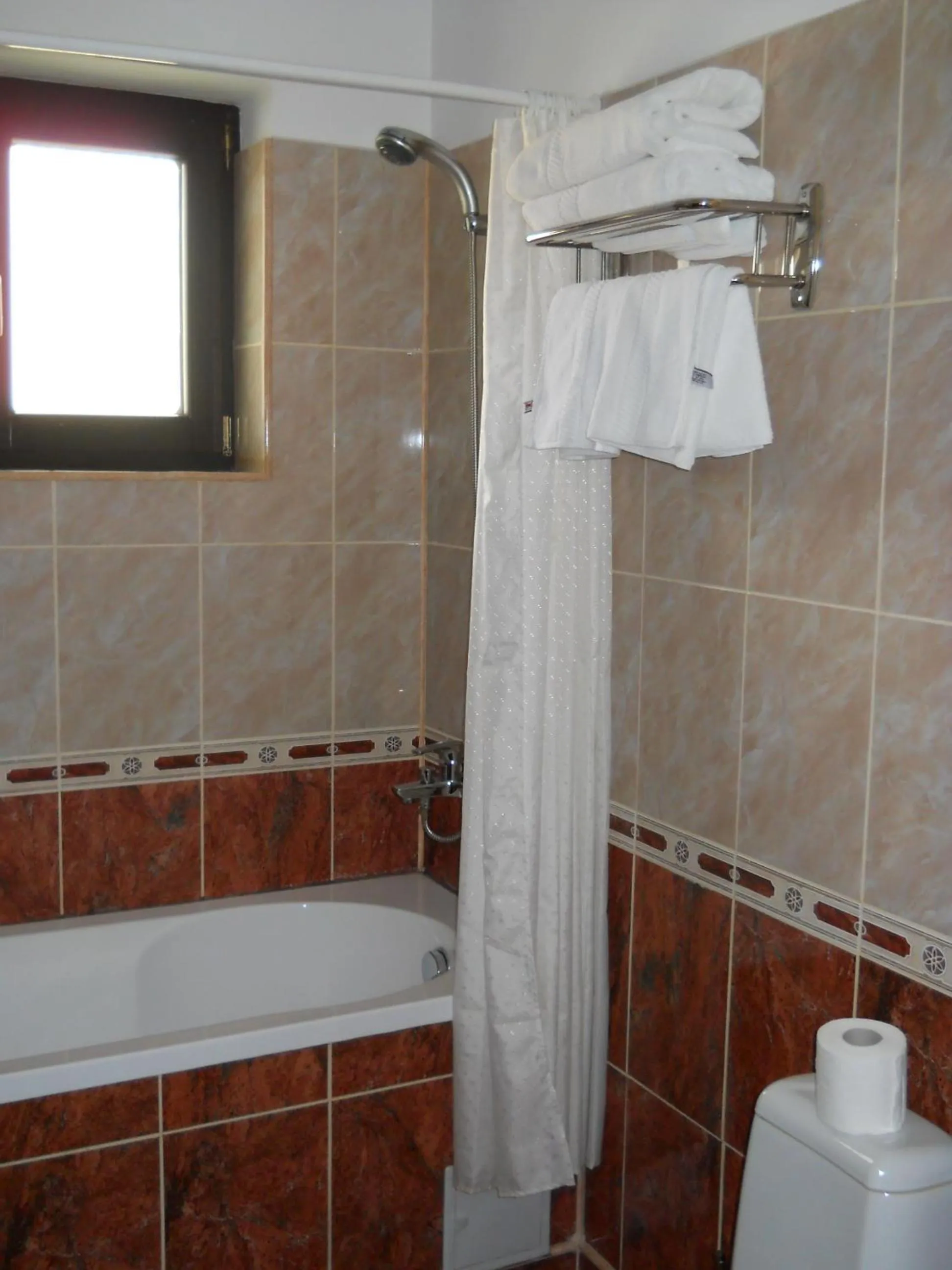 Bathroom in Casa Domneasca