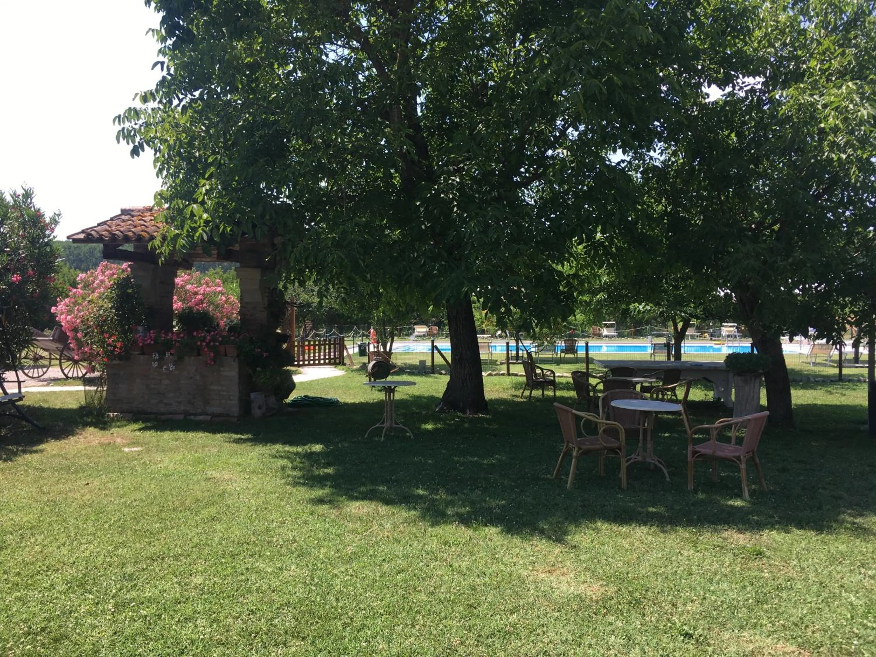 Pool view in Agriturismo La Cascinetta