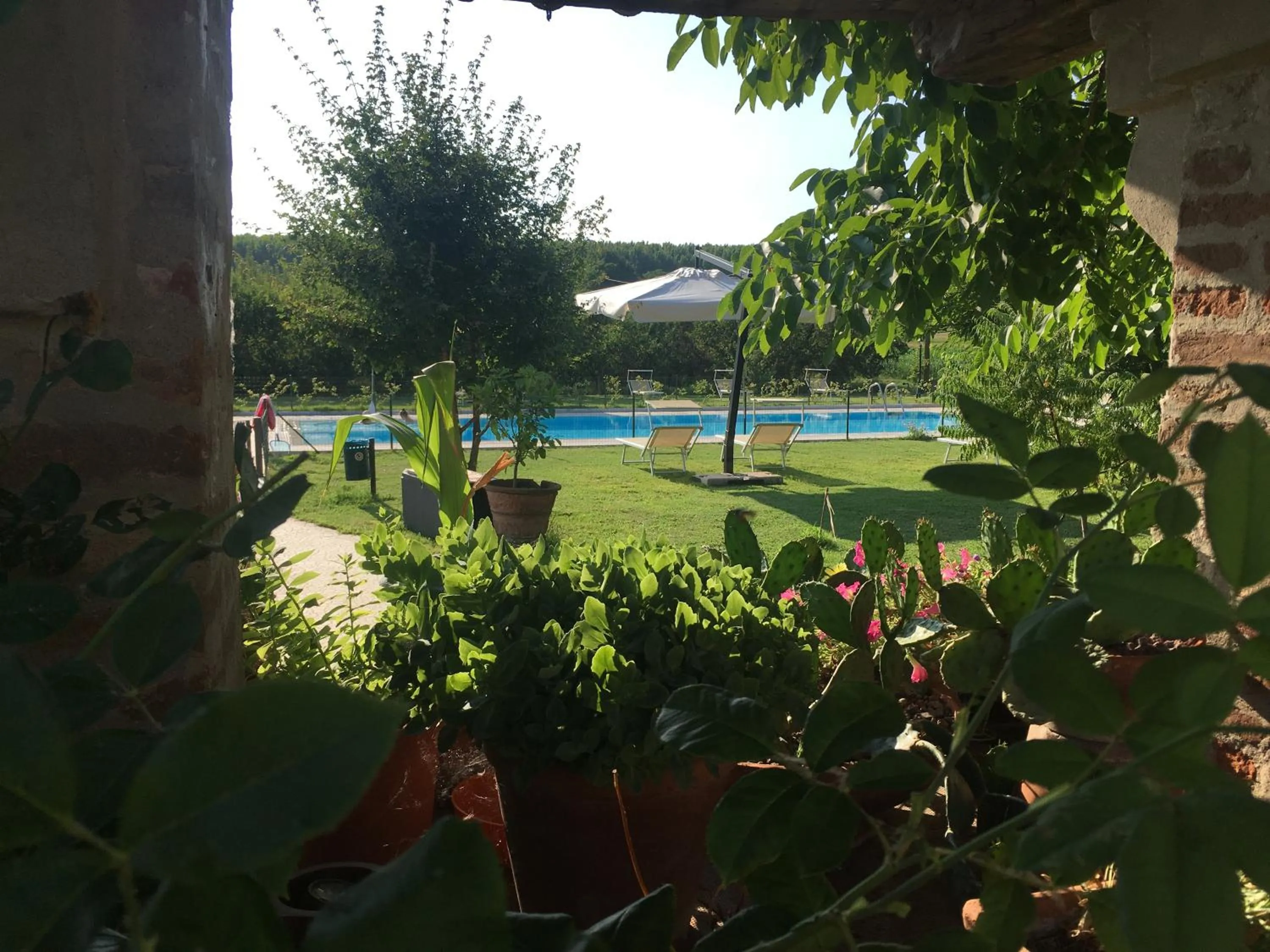 Garden in Agriturismo La Cascinetta