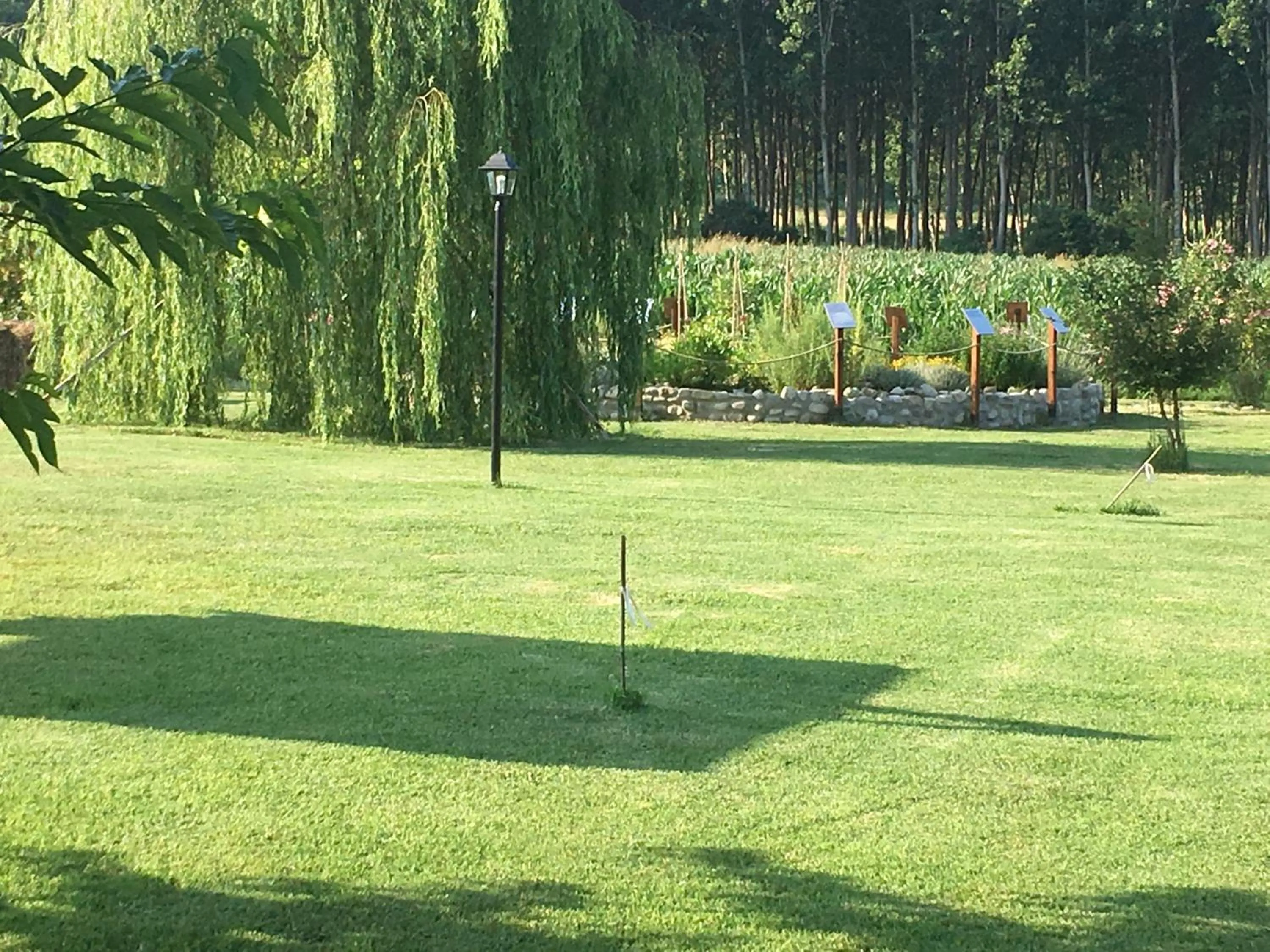 Garden in Agriturismo La Cascinetta