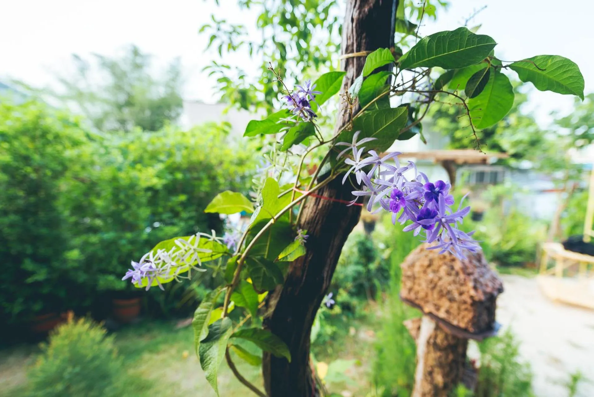 Wang Jai Kwang Space Inn