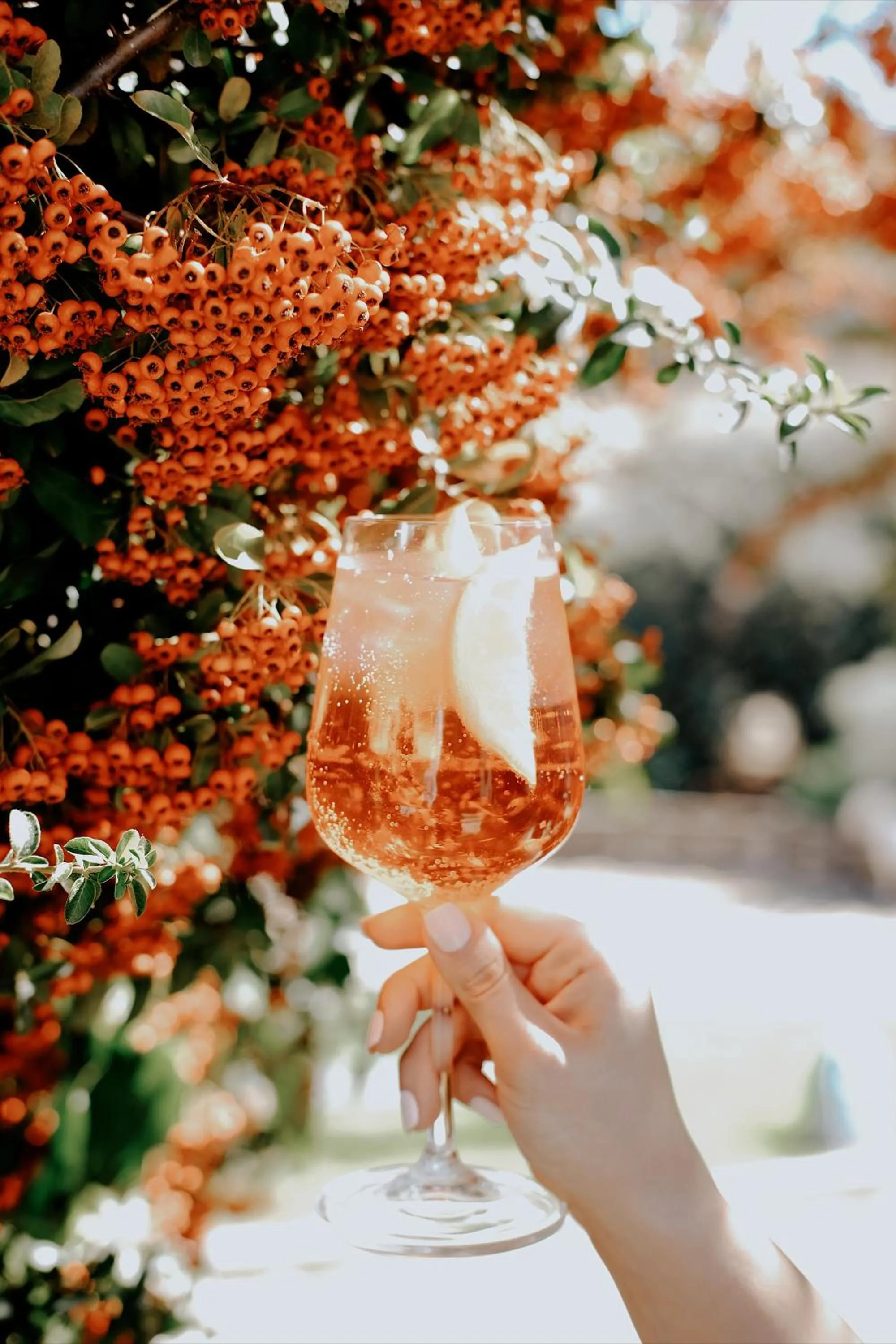 Drinks in Hotel Finca Los Pilares de Ronda