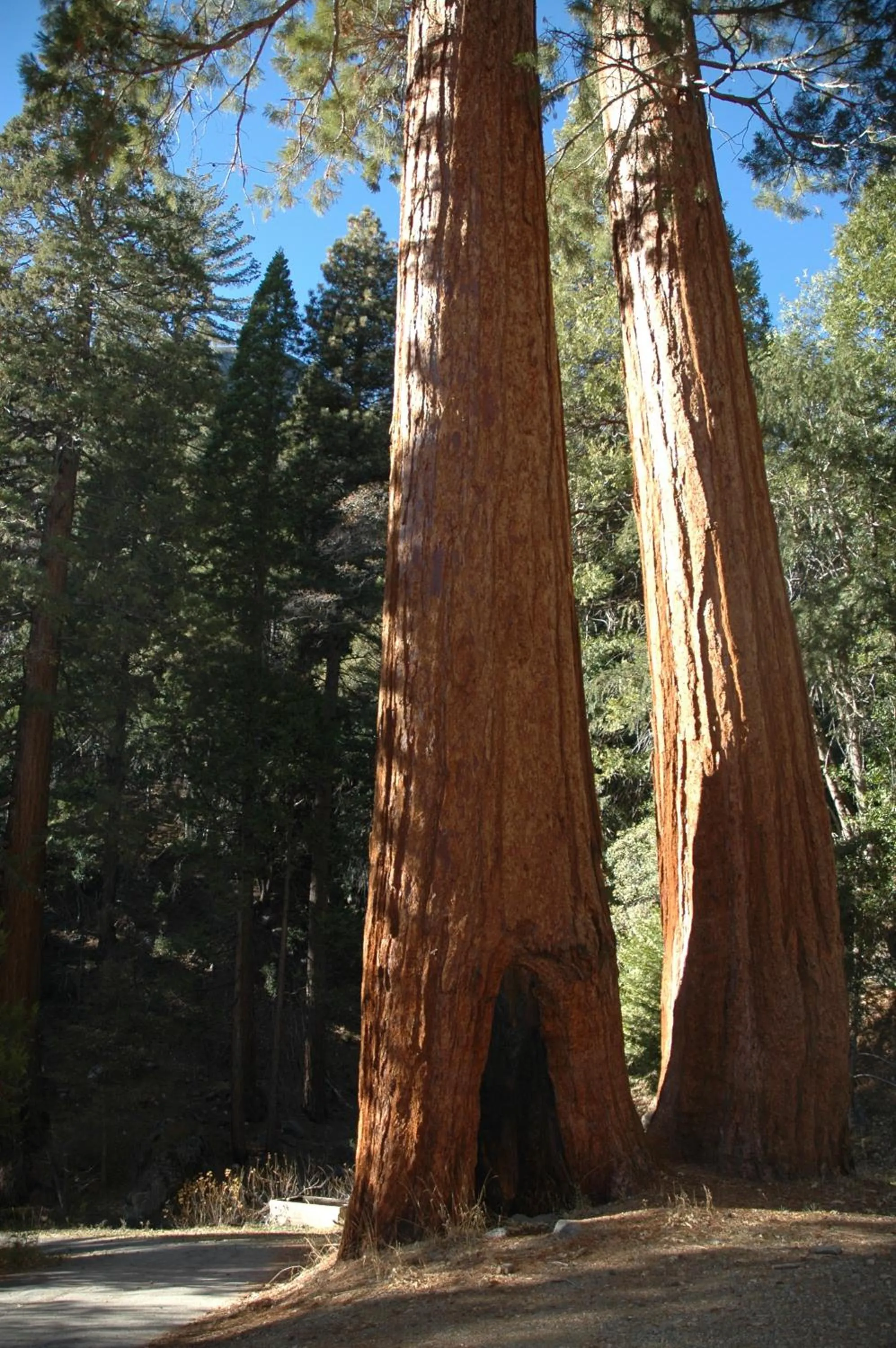 Nearby landmark in Silver City Mountain Resort