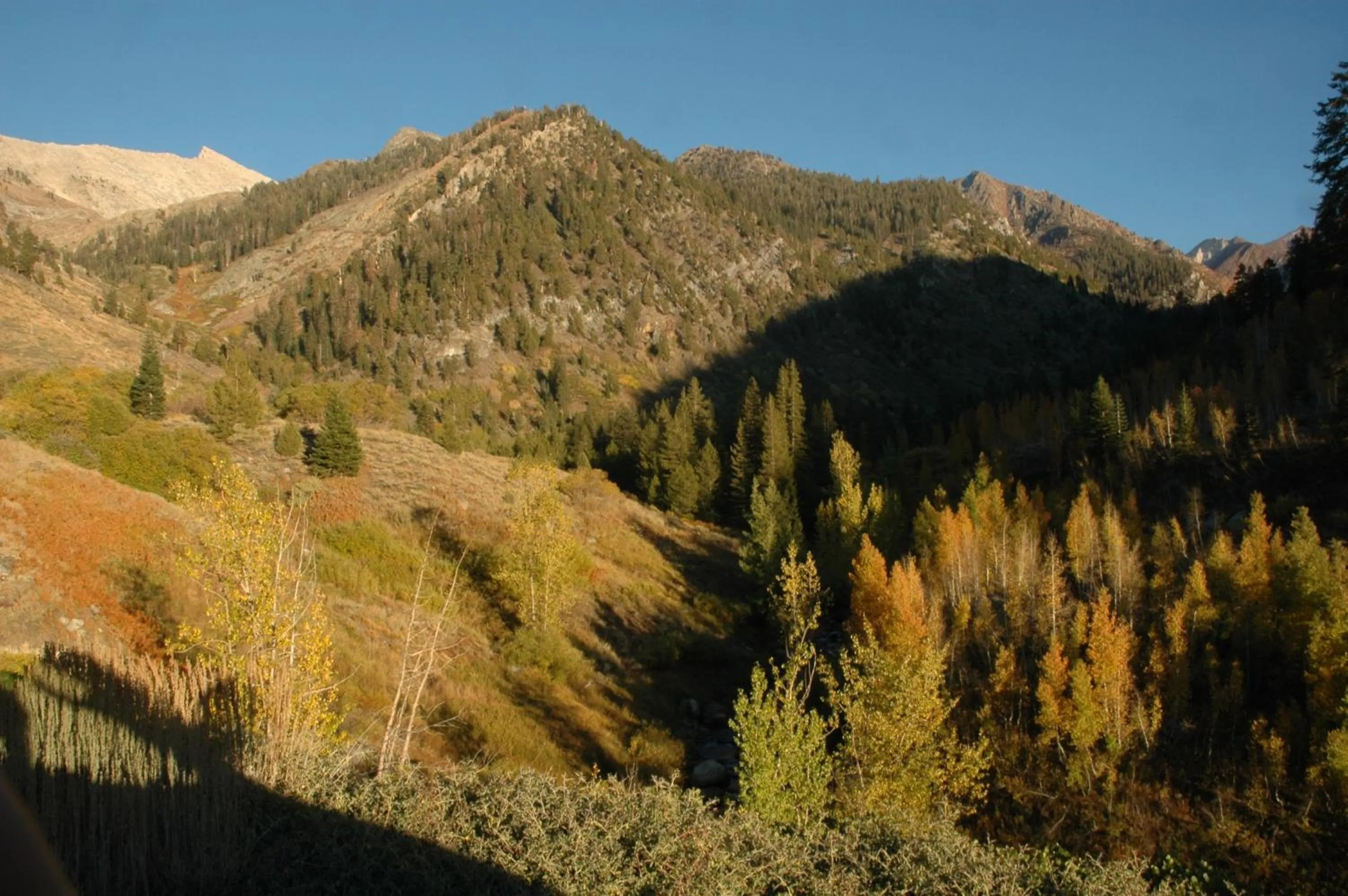 Off site in Silver City Mountain Resort