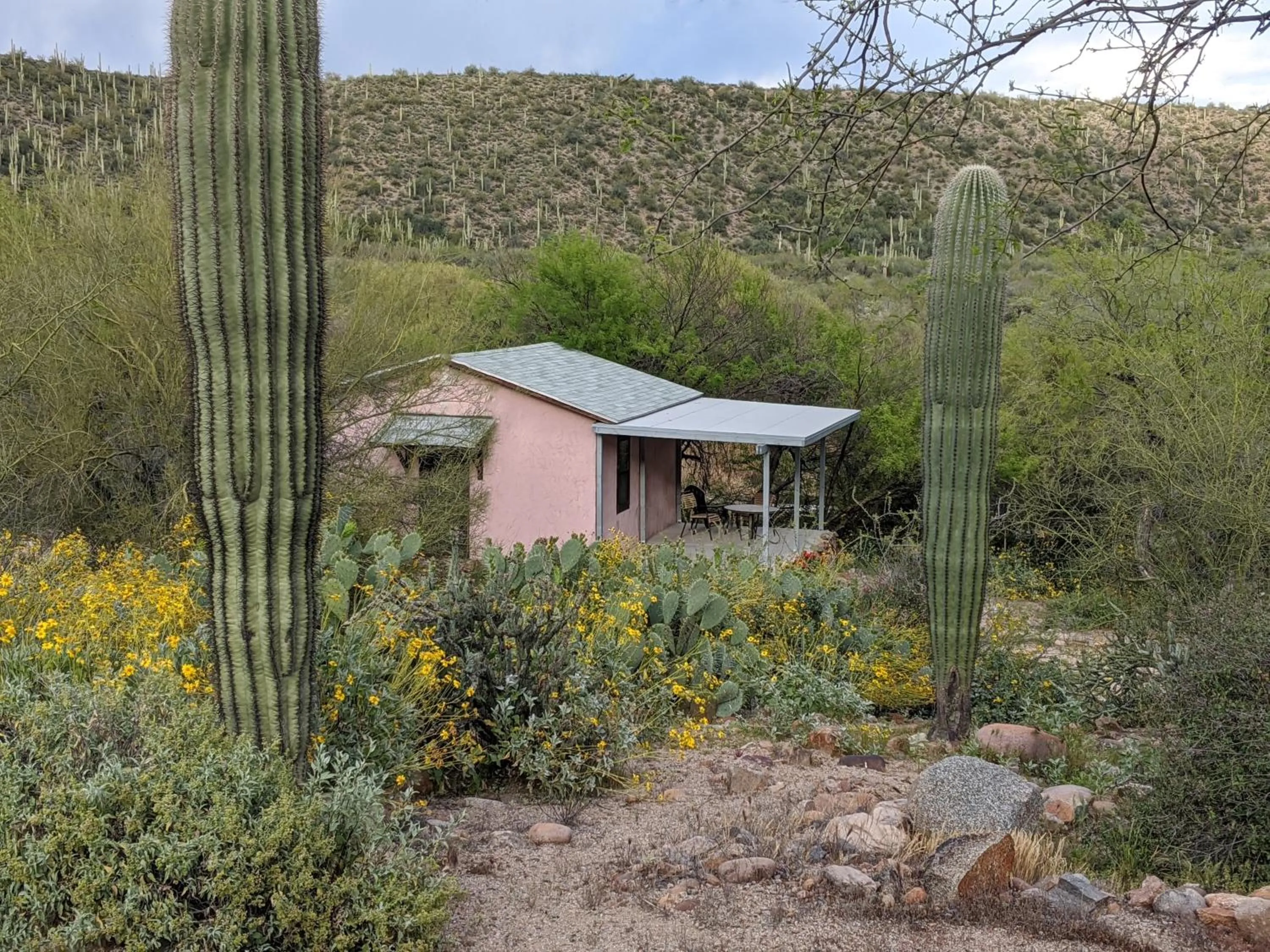Saguaro Lake Ranch