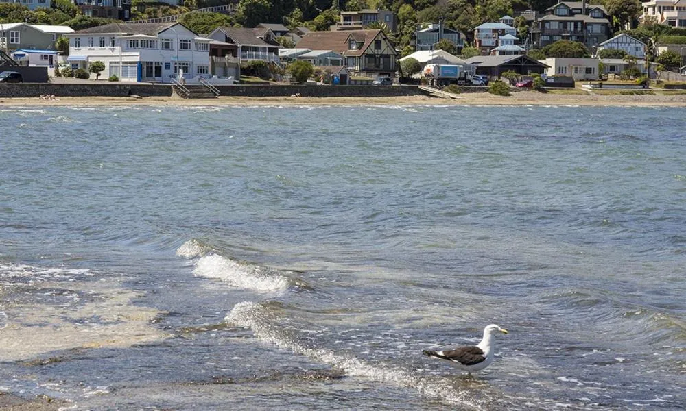 View (from property/room) in Moana Lodge