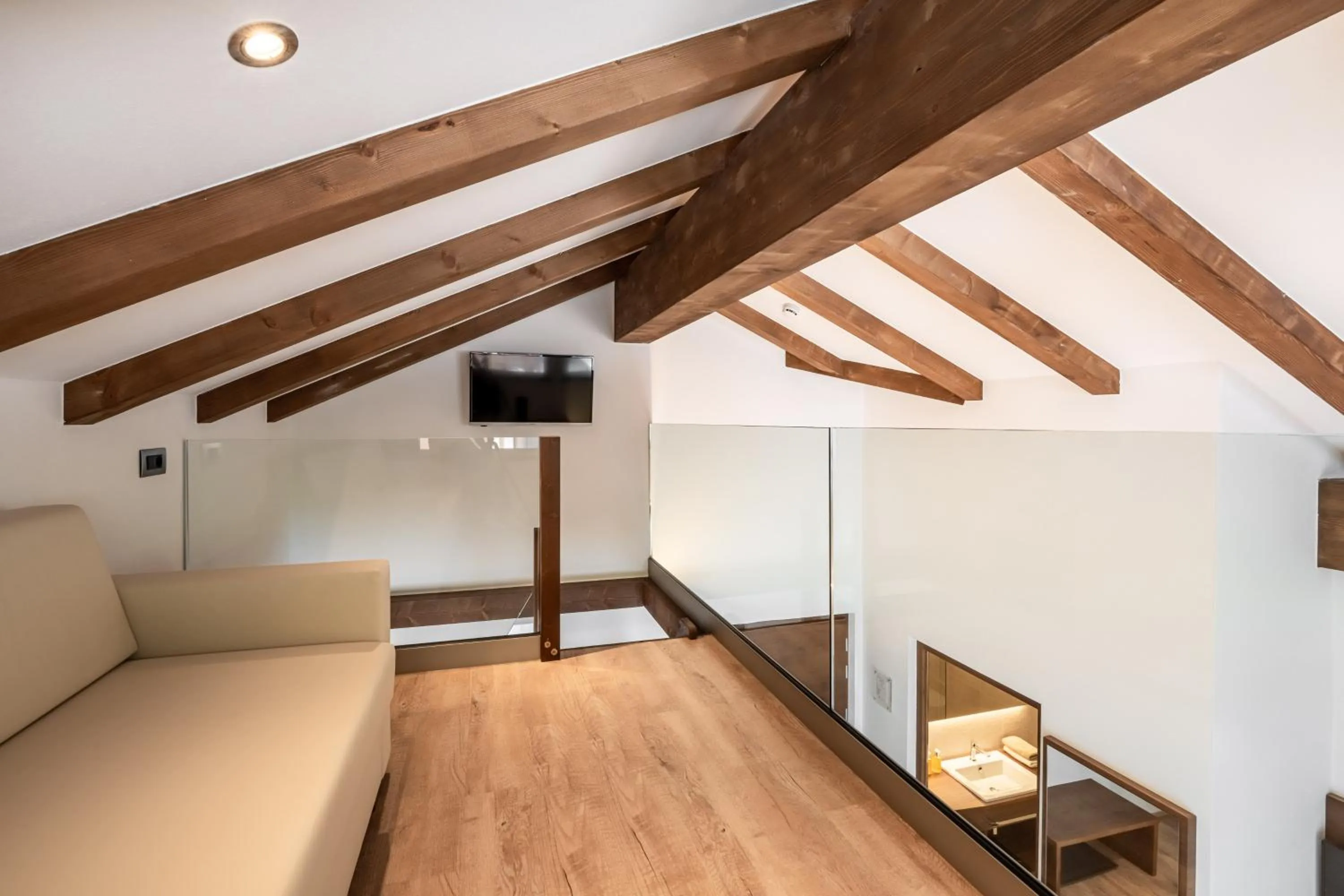 TV and multimedia in Arya Alpine Lodge