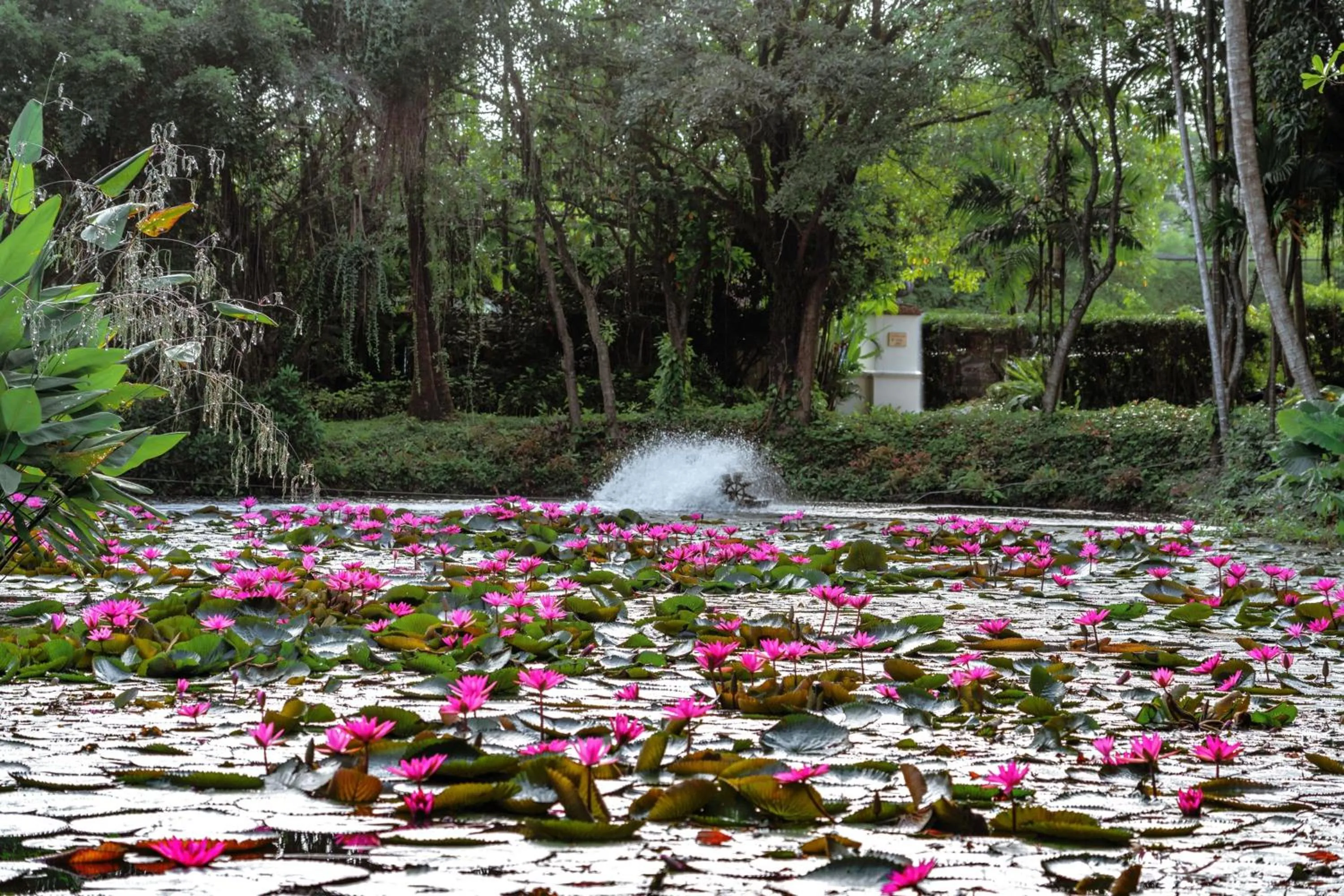 View (from property/room) in Marriott's Phuket Beach Club