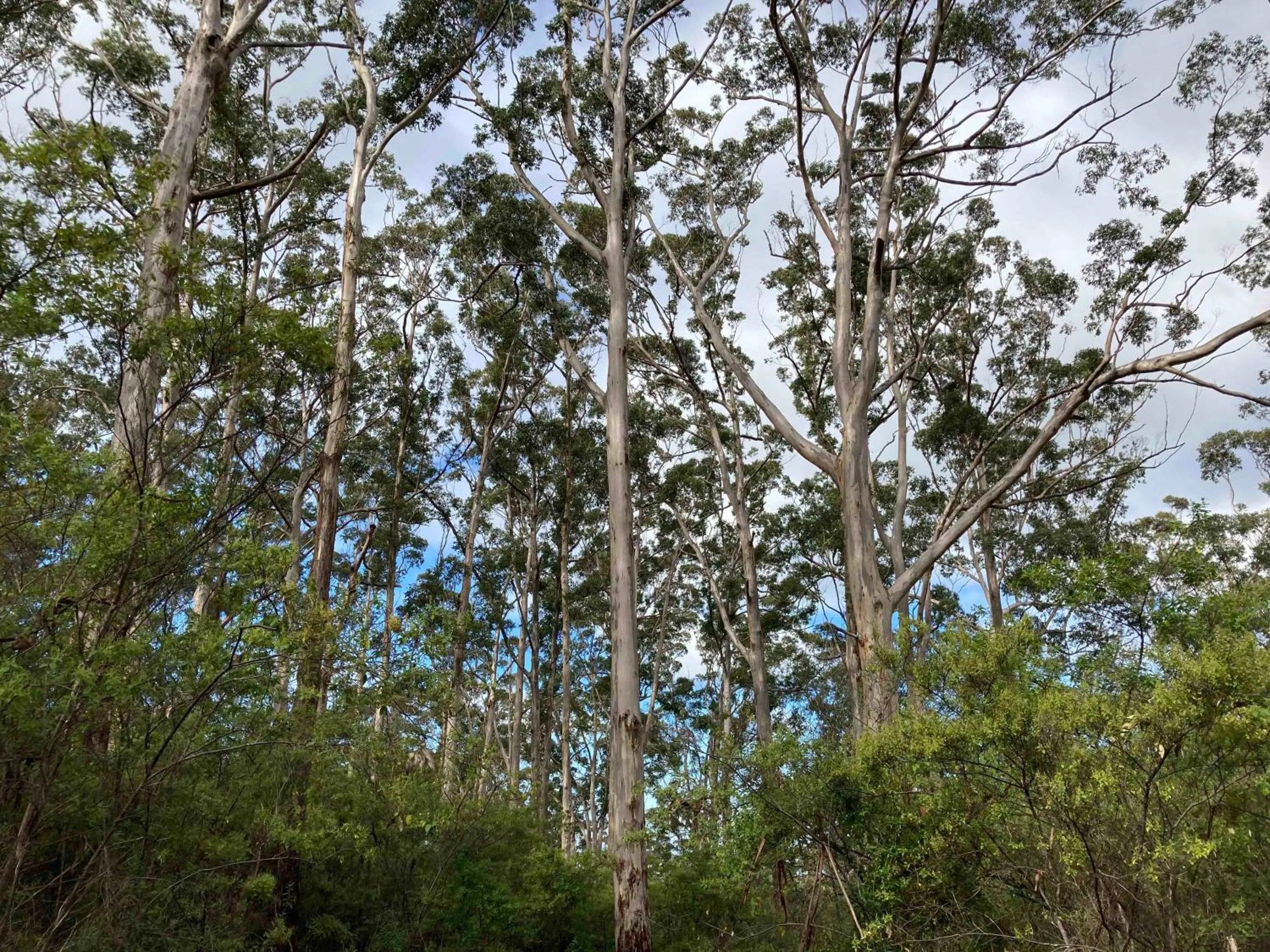 Nearby landmark in Edge Of The Forest Motel