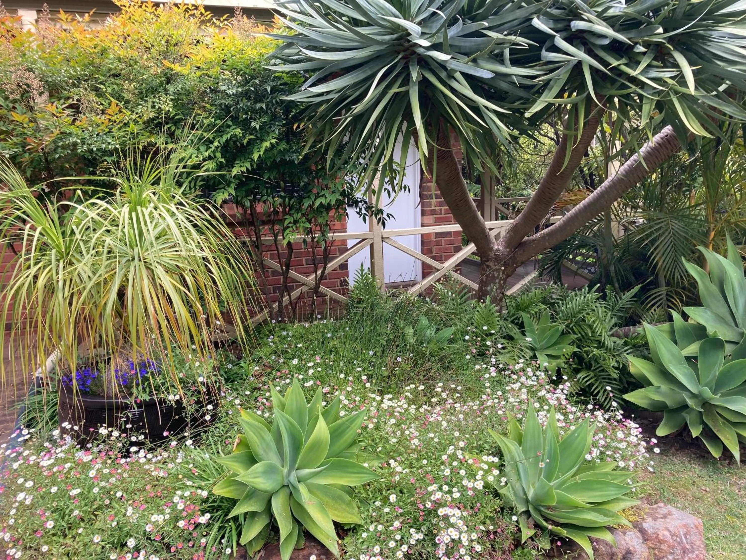 Facade/entrance in Edge Of The Forest Motel
