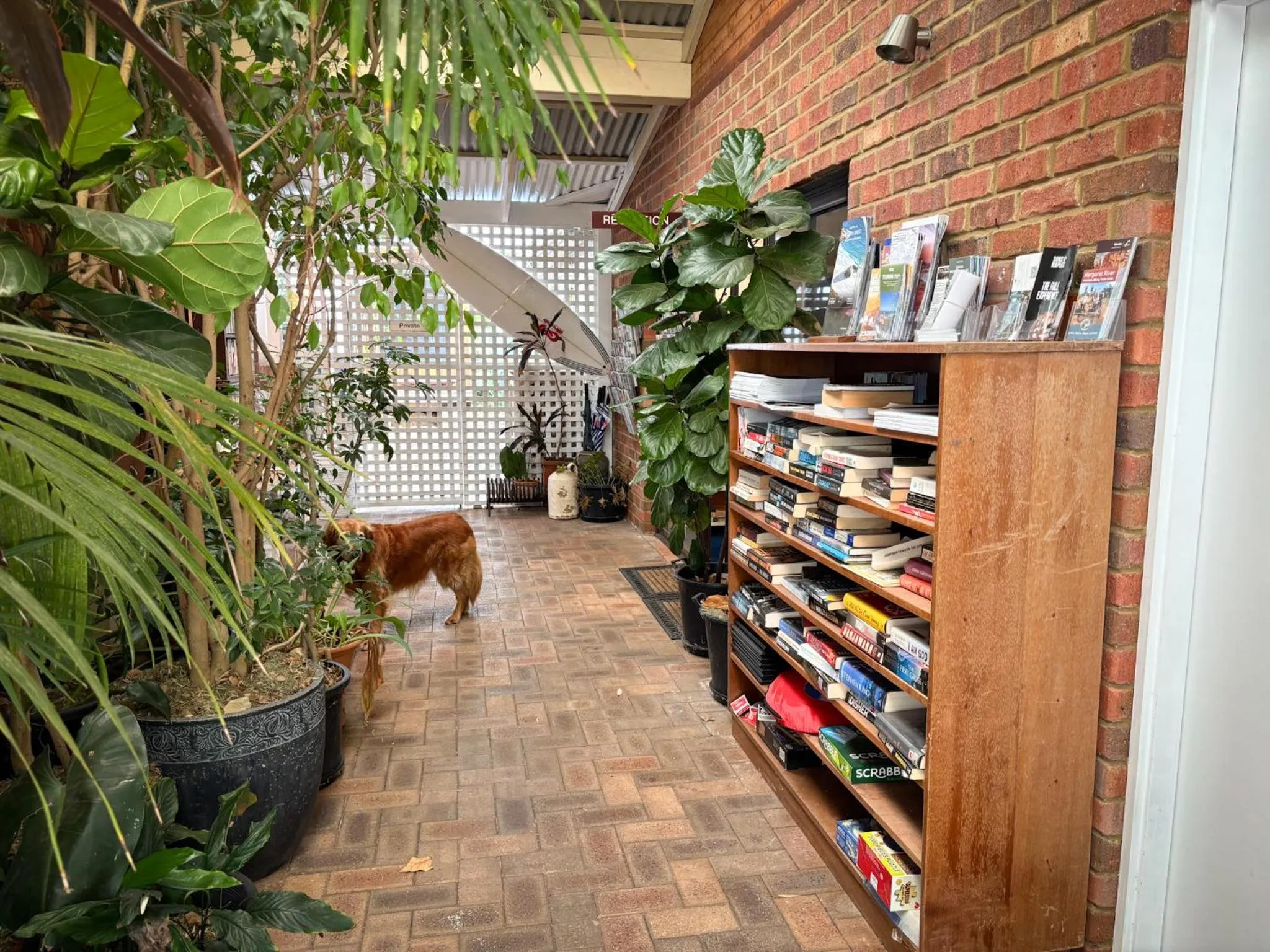 Lobby or reception in Edge Of The Forest Motel