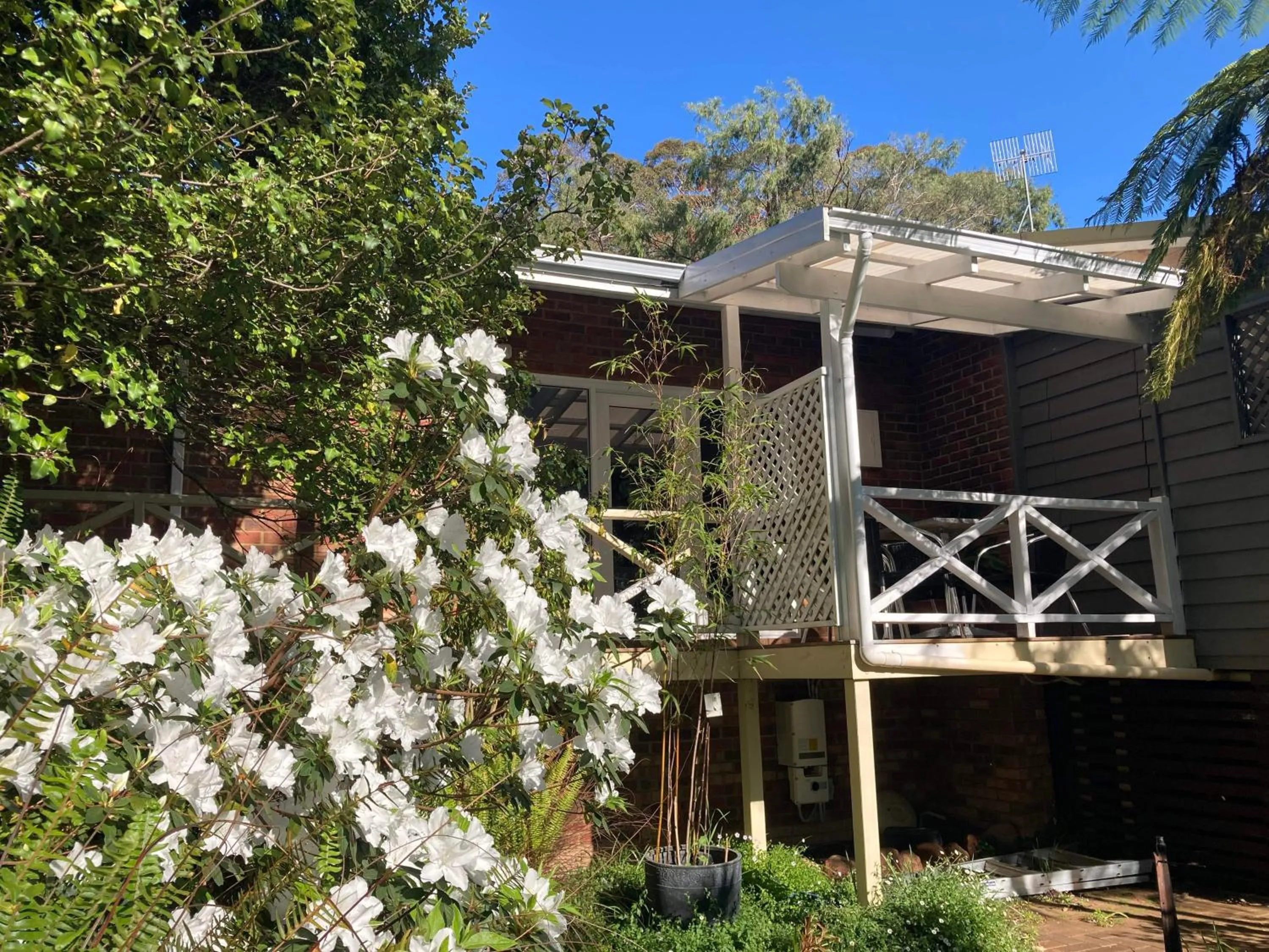 View (from property/room) in Edge Of The Forest Motel