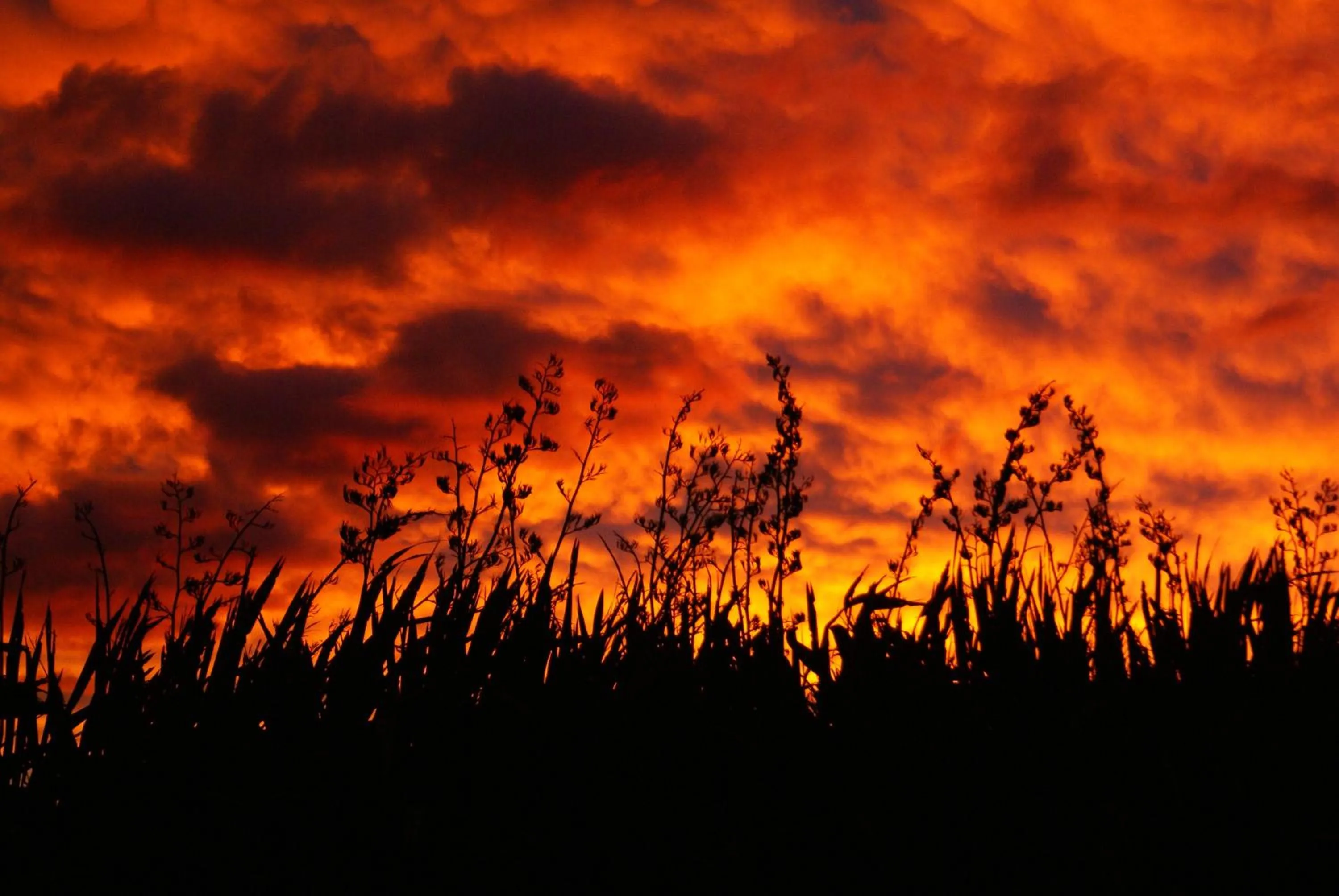 Area and facilities in The Summit Lodge
