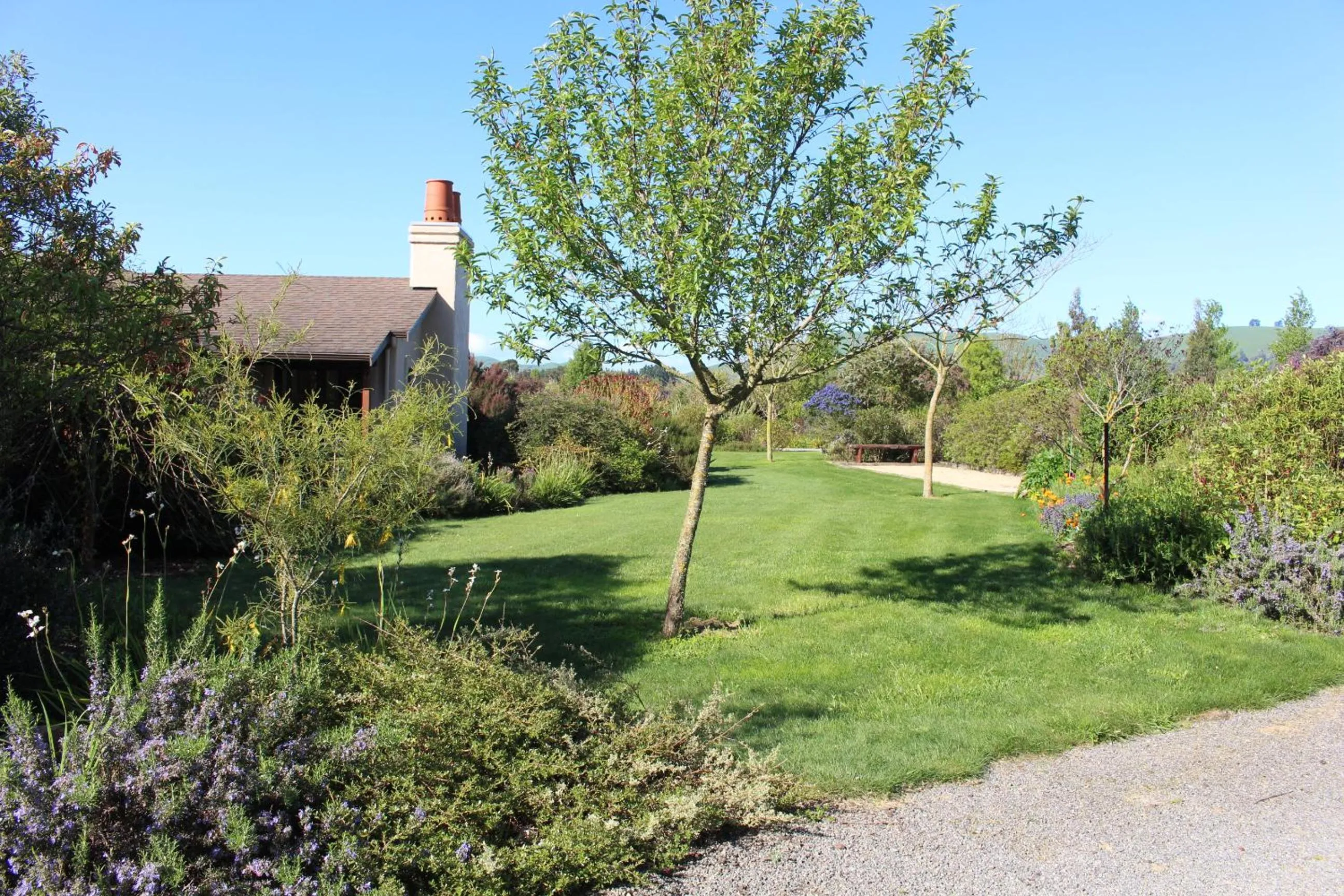 Garden in The Summit Lodge