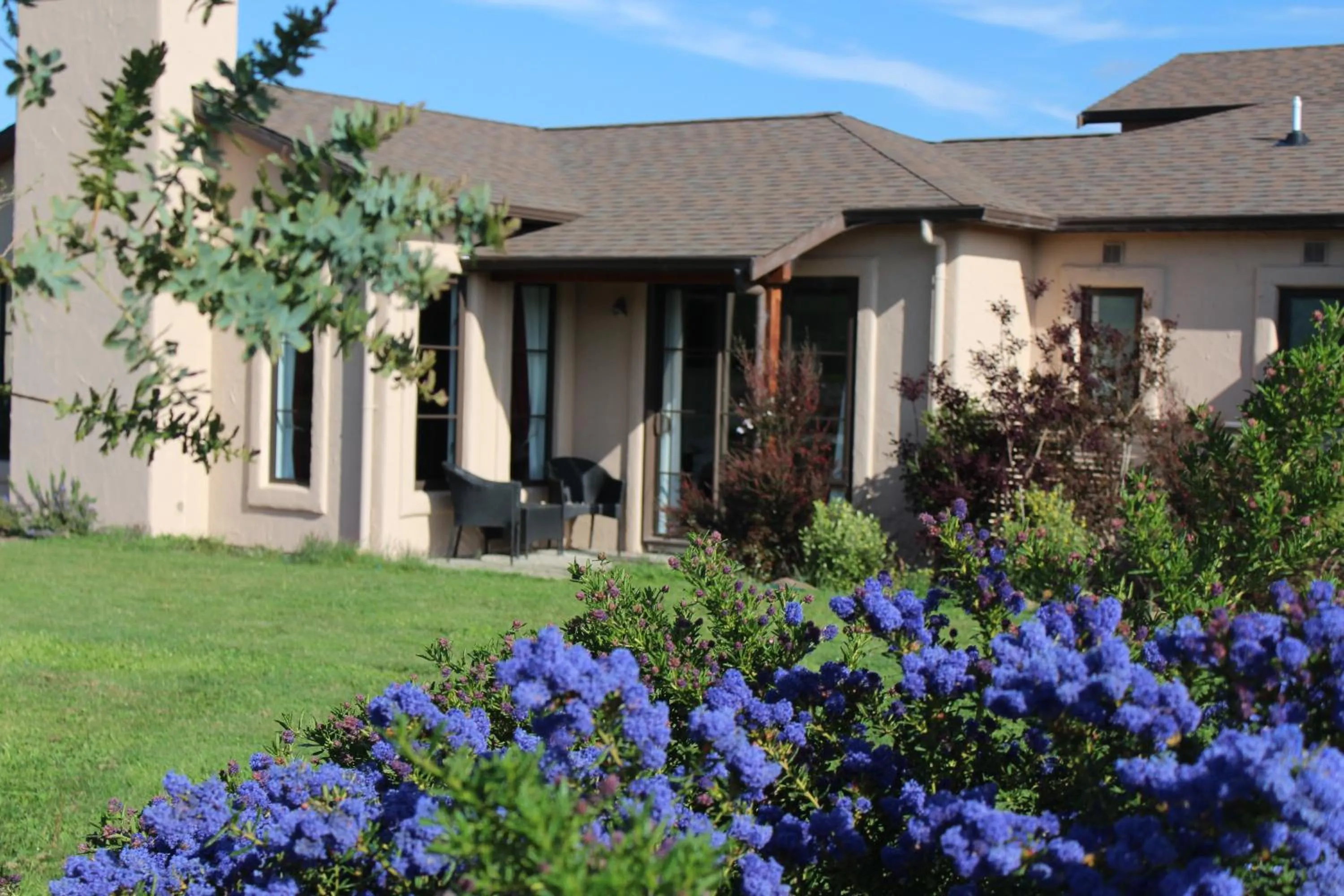 Garden in The Summit Lodge