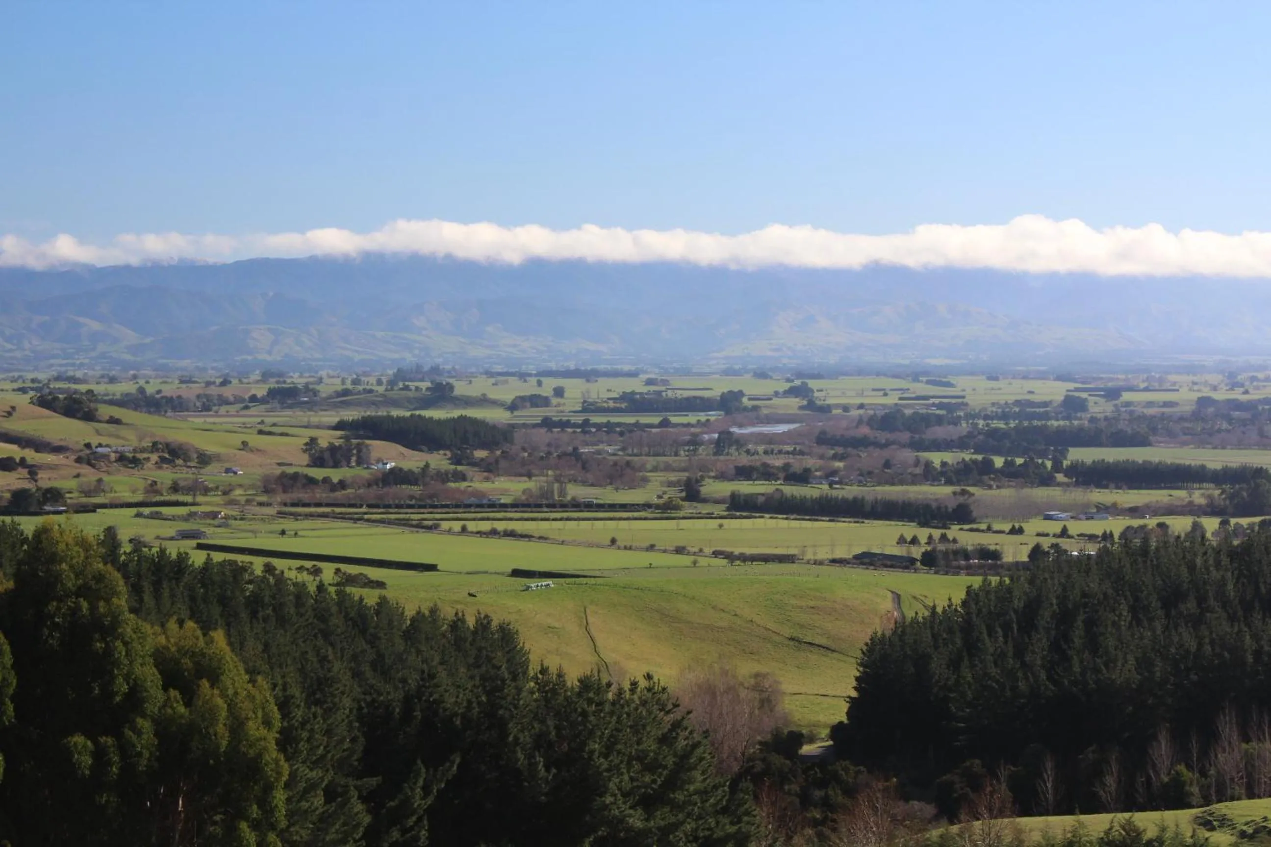 Area and facilities in The Summit Lodge