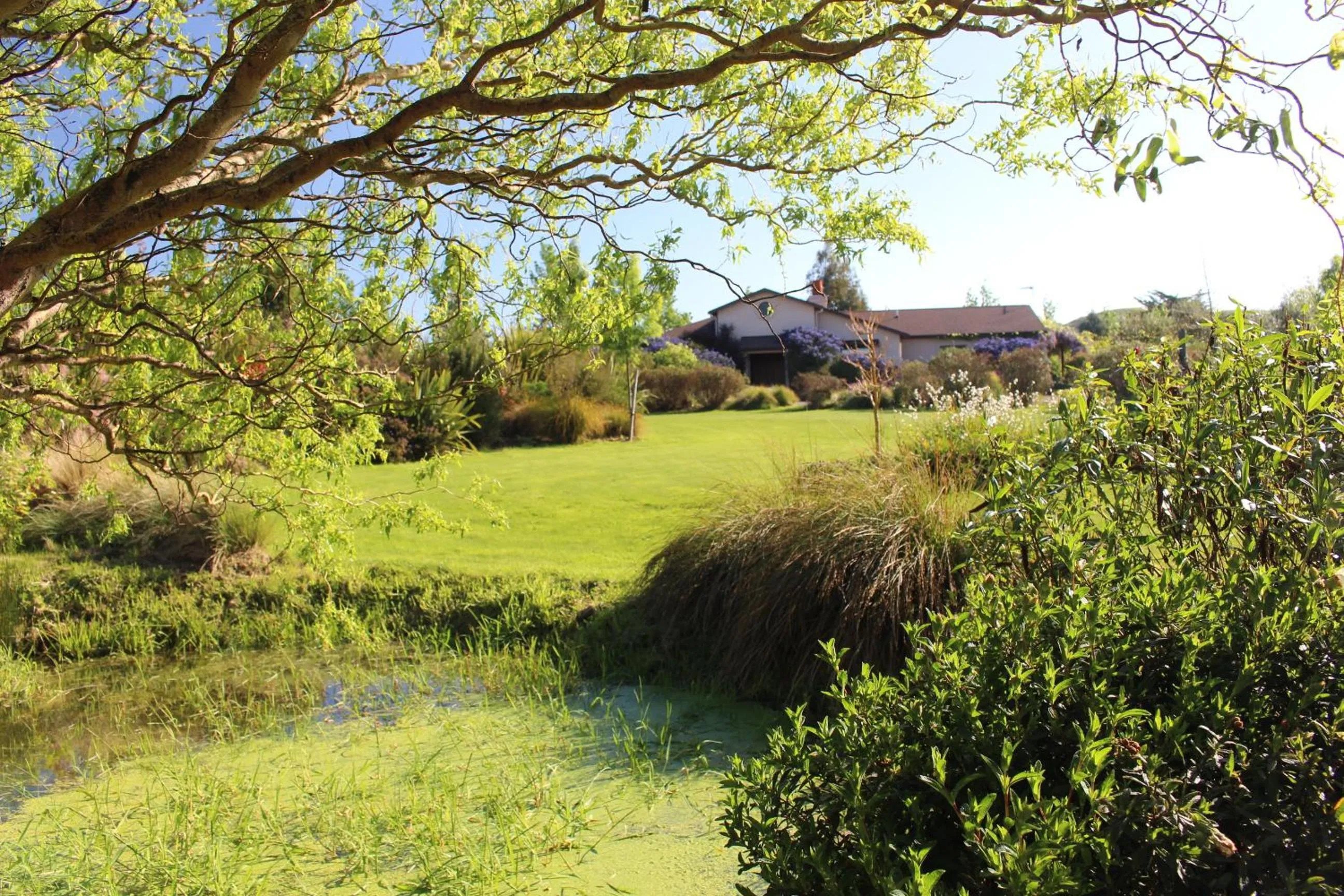 Garden in The Summit Lodge