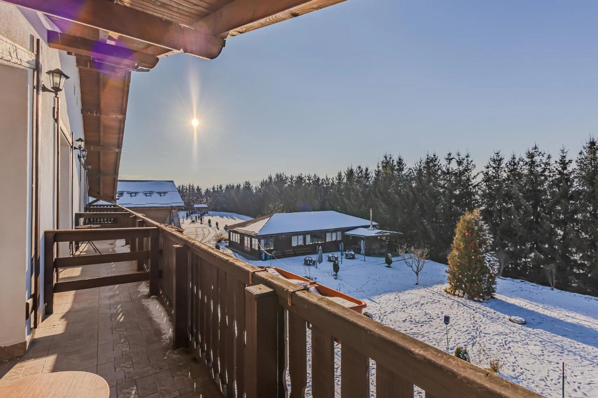 Natural landscape in Complex Panicel