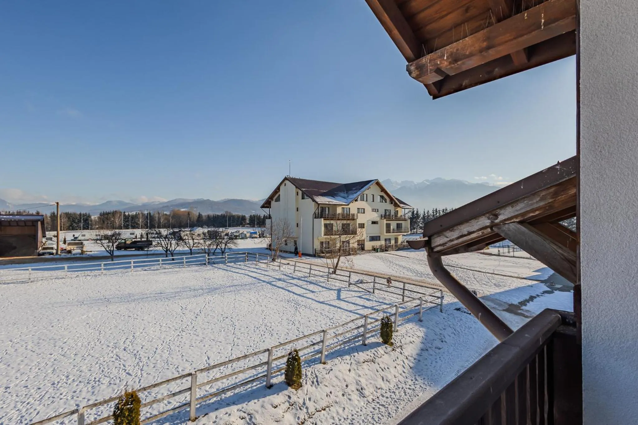 Day in Complex Panicel