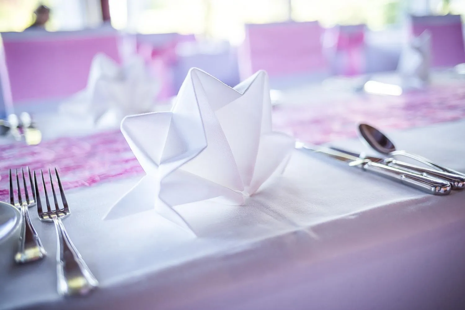 Banquet/Function facilities in Hotel Schloss Romanshorn