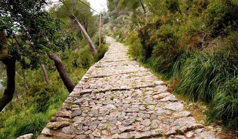 Natural landscape in Senda Caimari