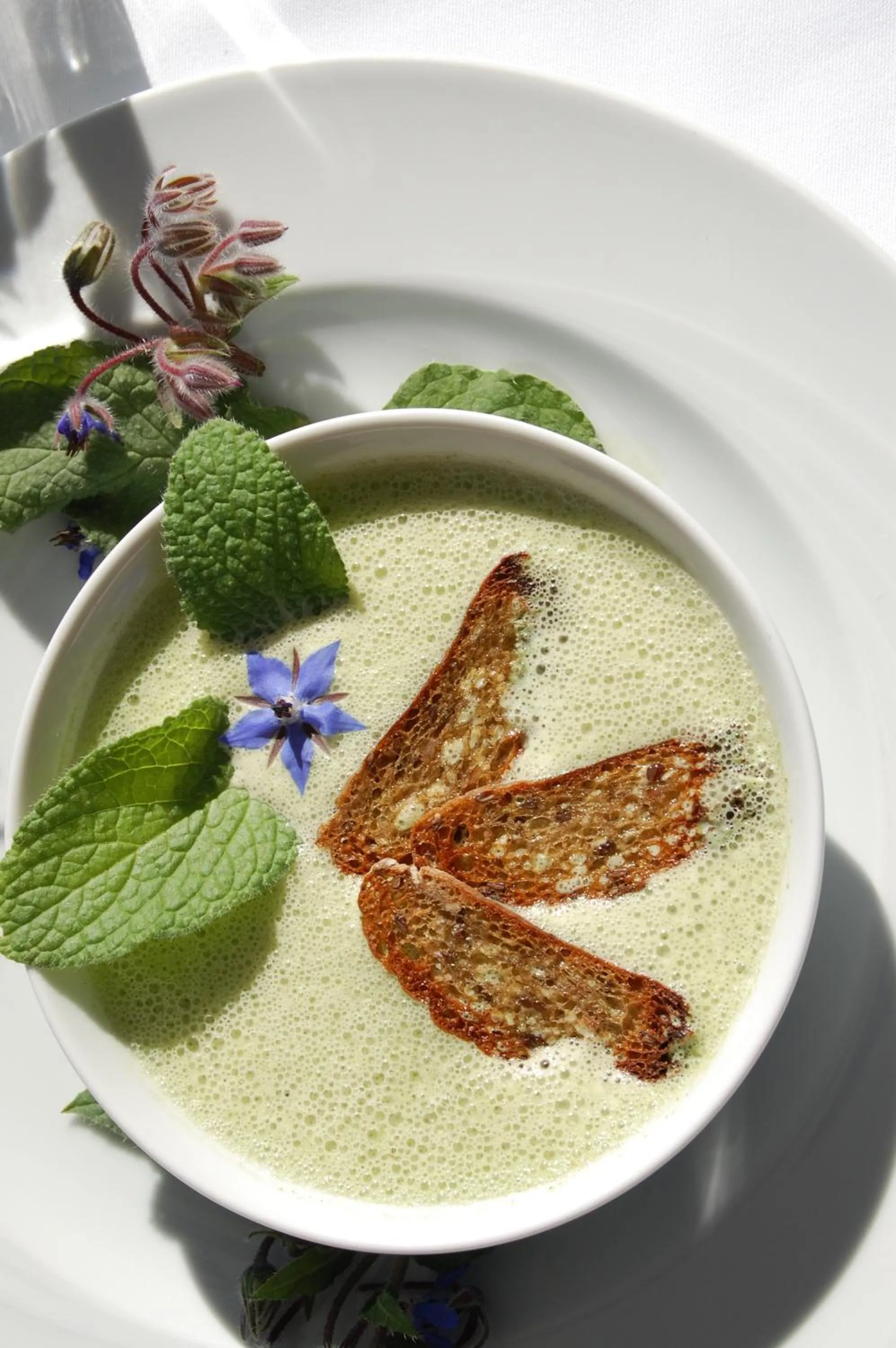 Food close-up in Bio Hotel Panorama