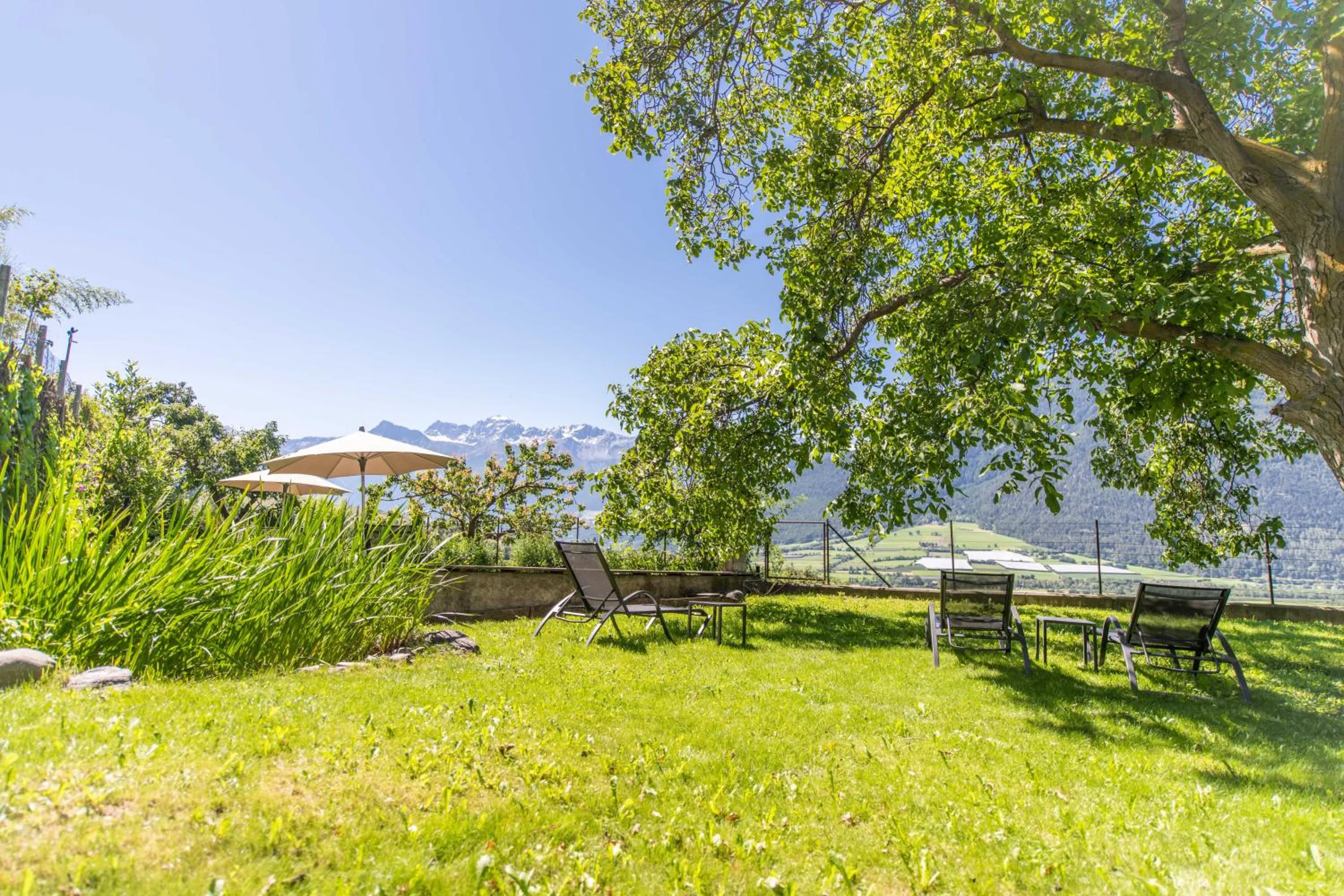Garden in Bio Hotel Panorama