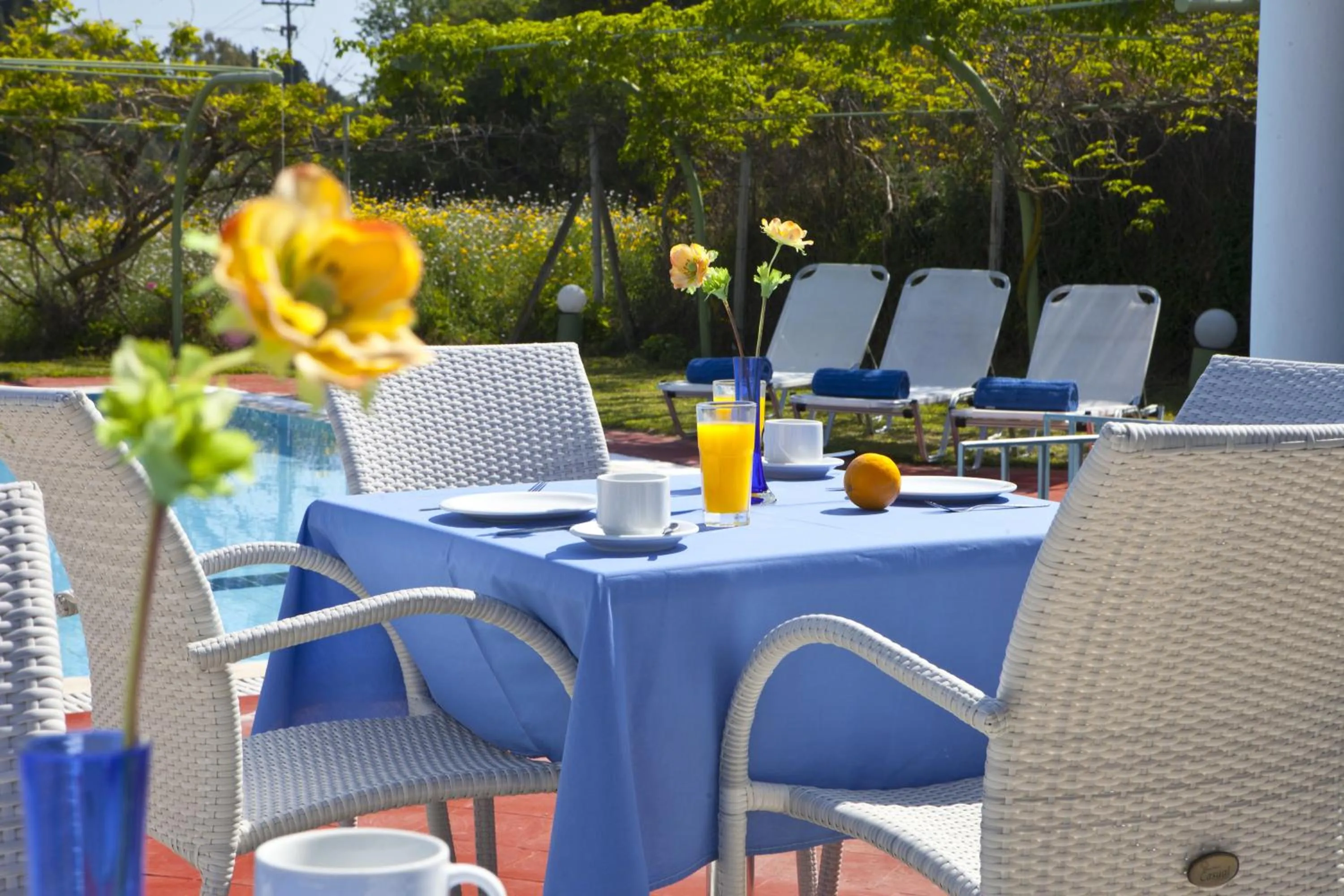 Lounge or bar in Palatino Hotel