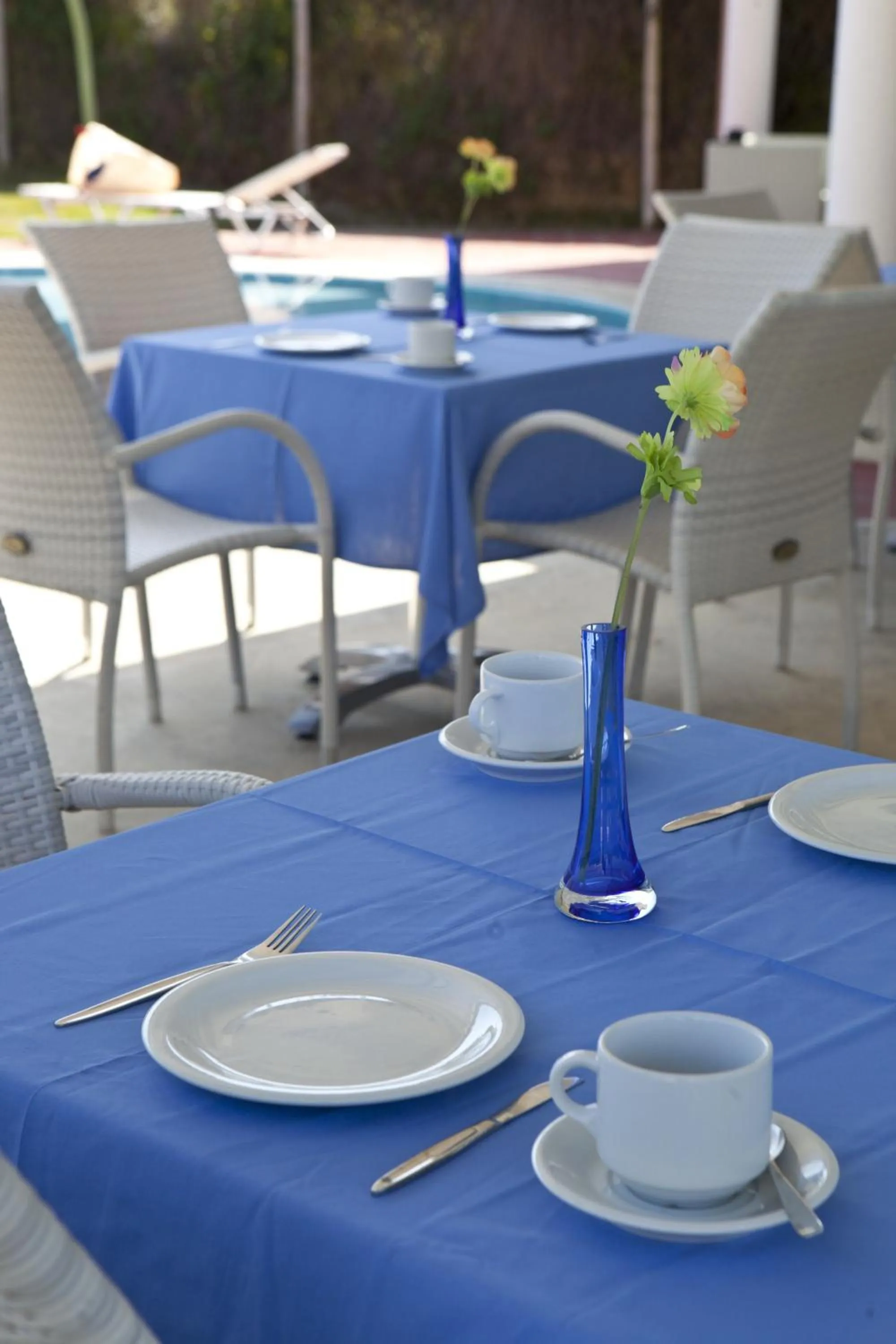 Lounge or bar in Palatino Hotel