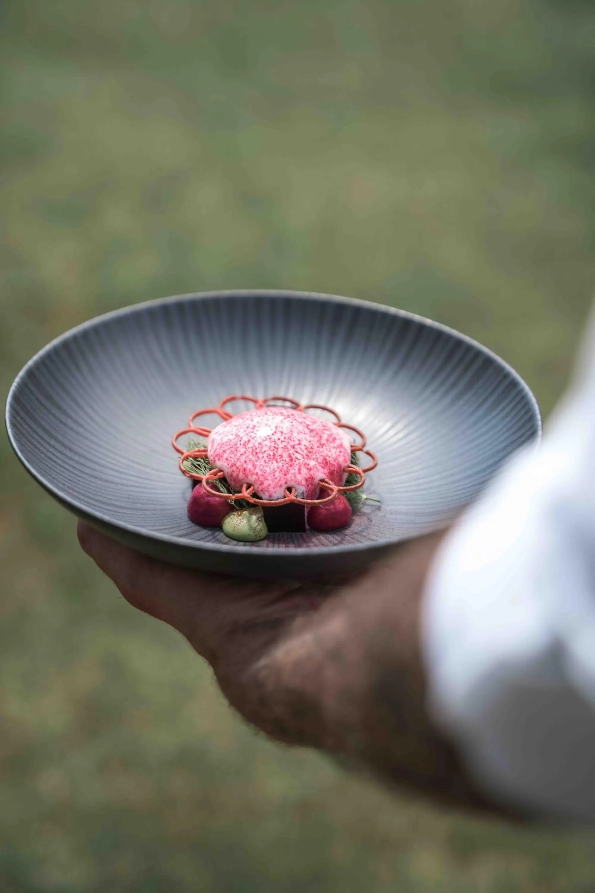 Restaurant/places to eat in Hotel Masl