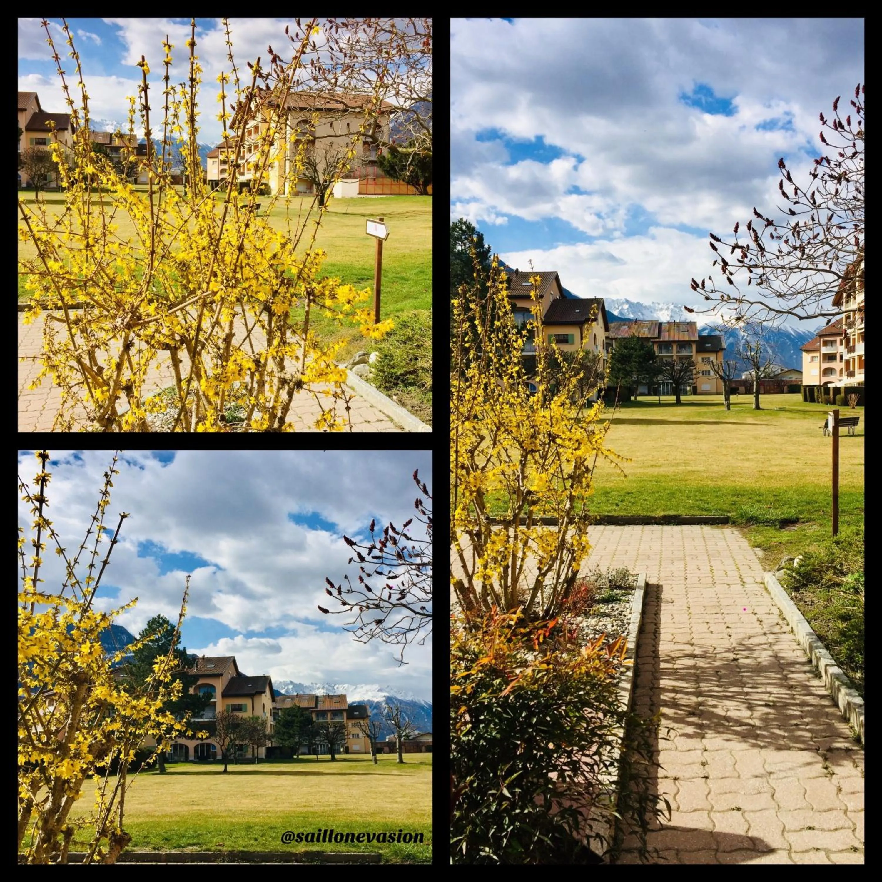 Spring in Saillon Evasion Sarl