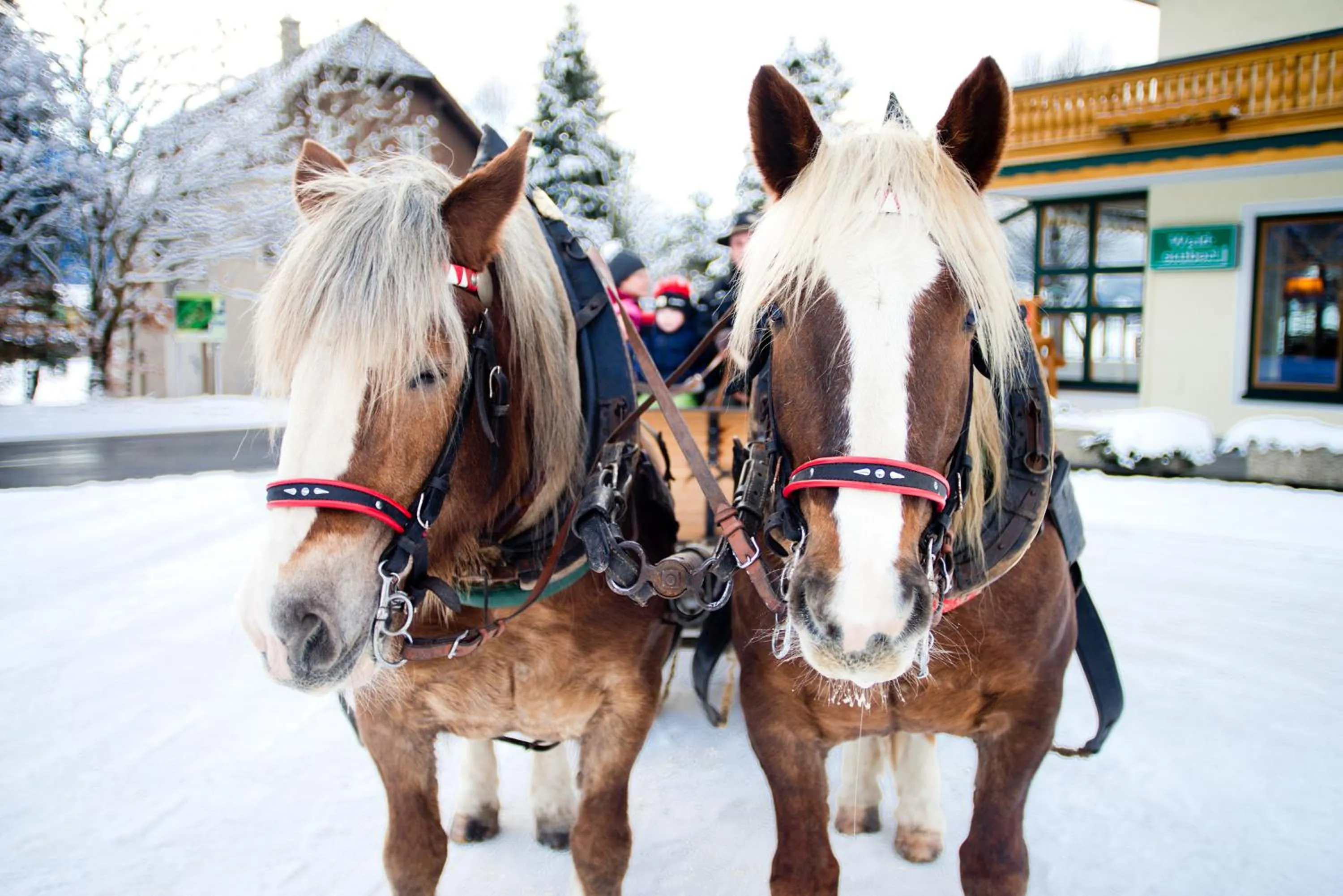 Winter in Landhotel Häuserl im Wald