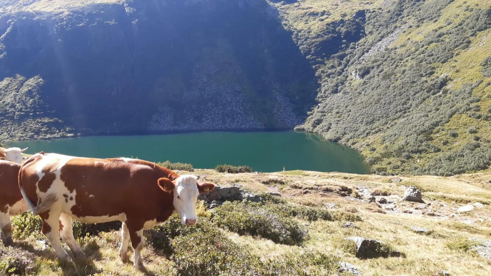 Summer in Landhotel Häuserl im Wald