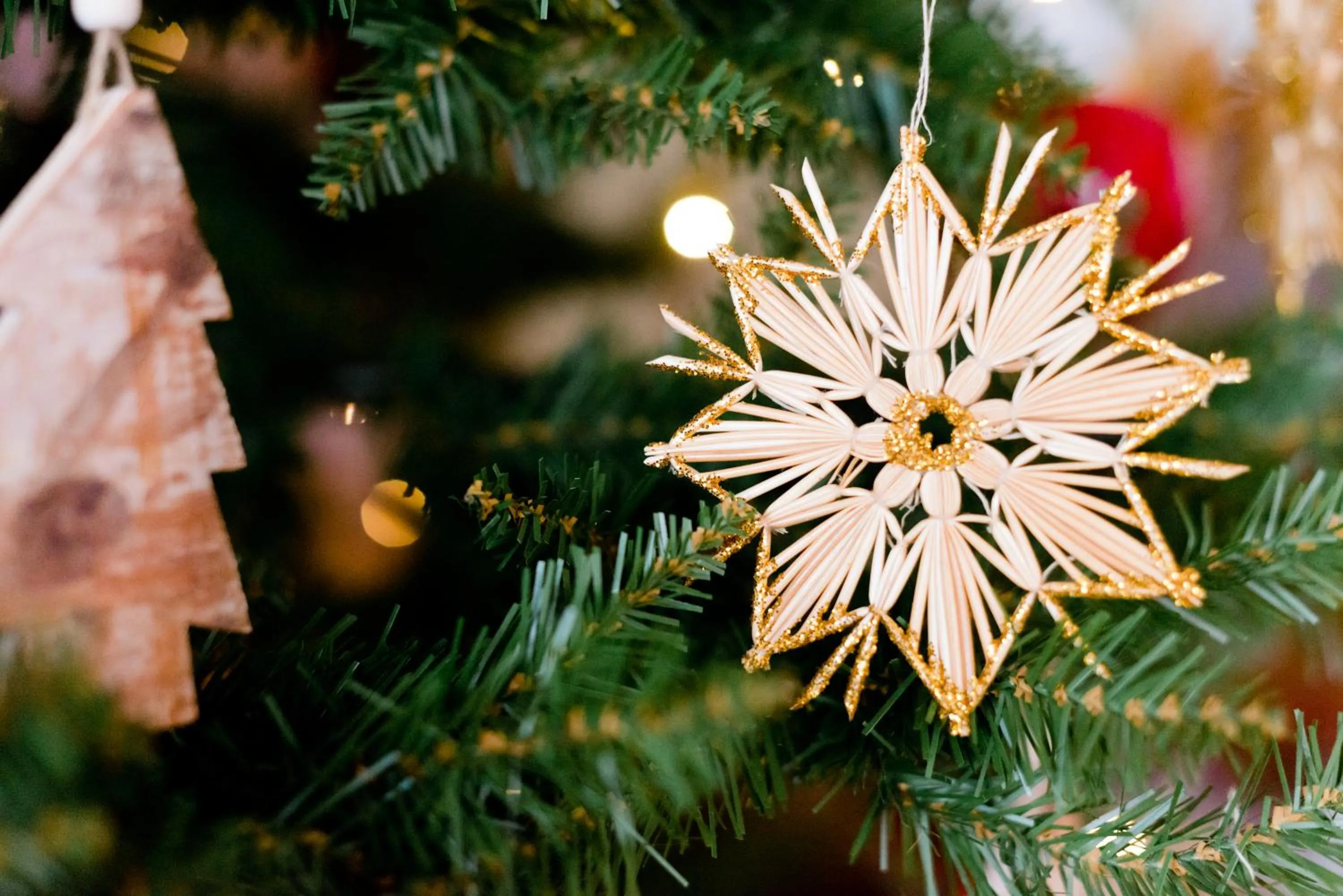 Winter in Landhotel Häuserl im Wald