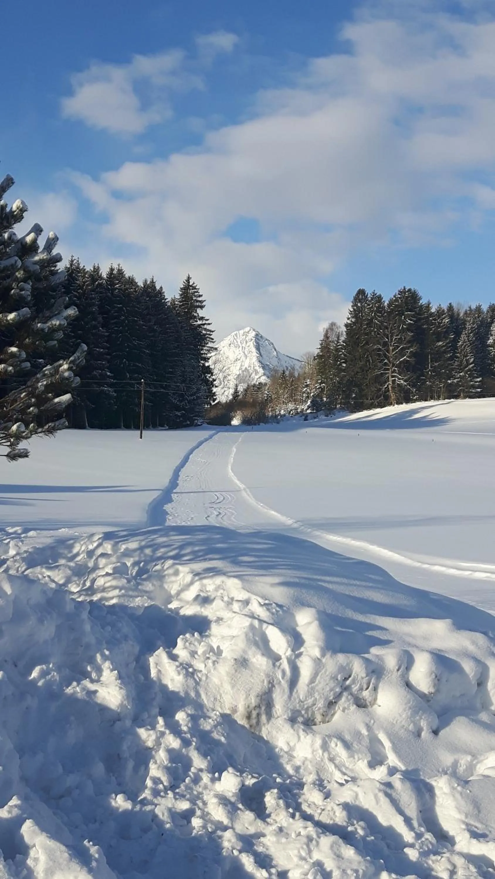 Winter in Landhotel Häuserl im Wald
