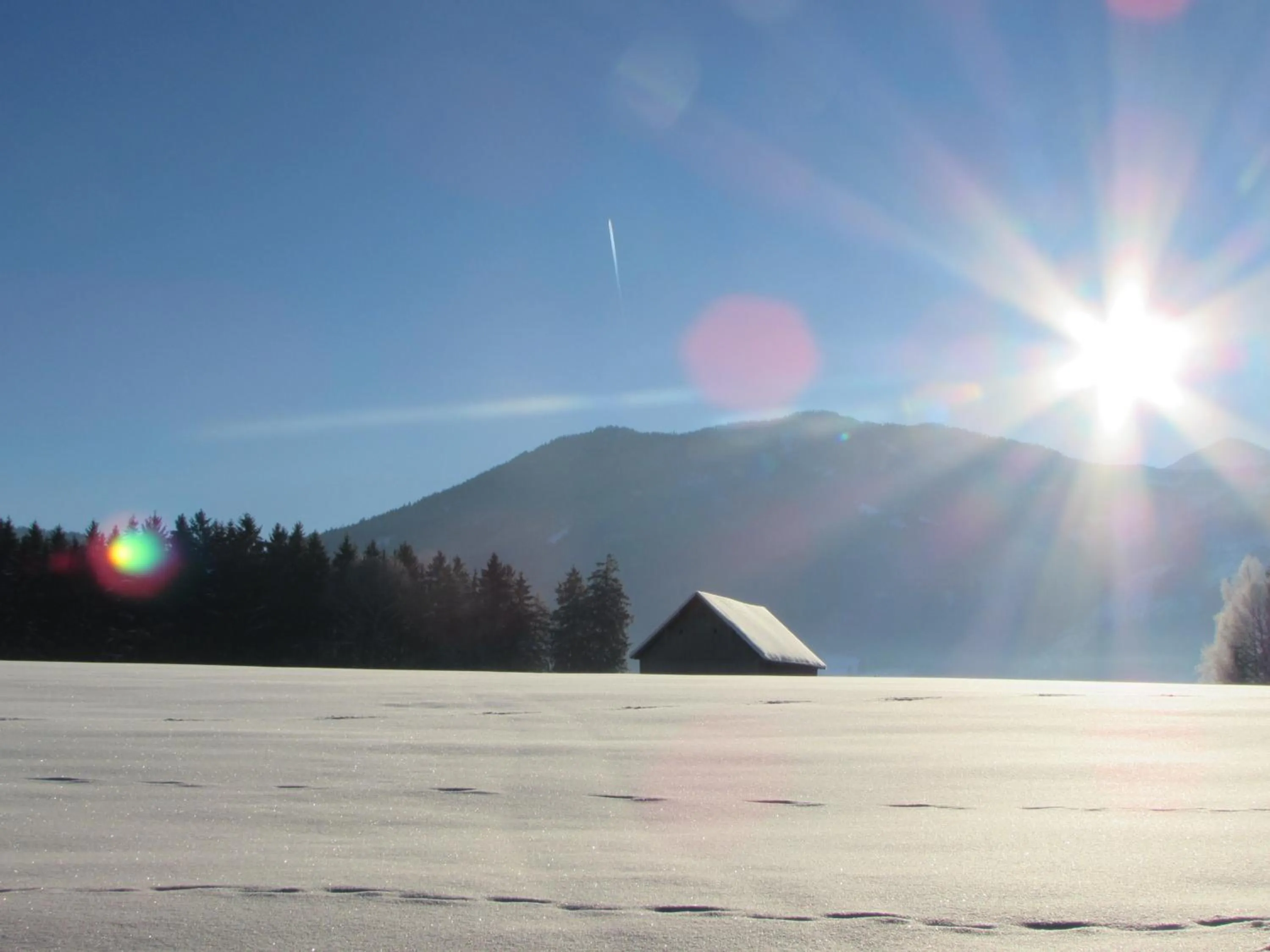 Natural landscape in Landhotel Häuserl im Wald