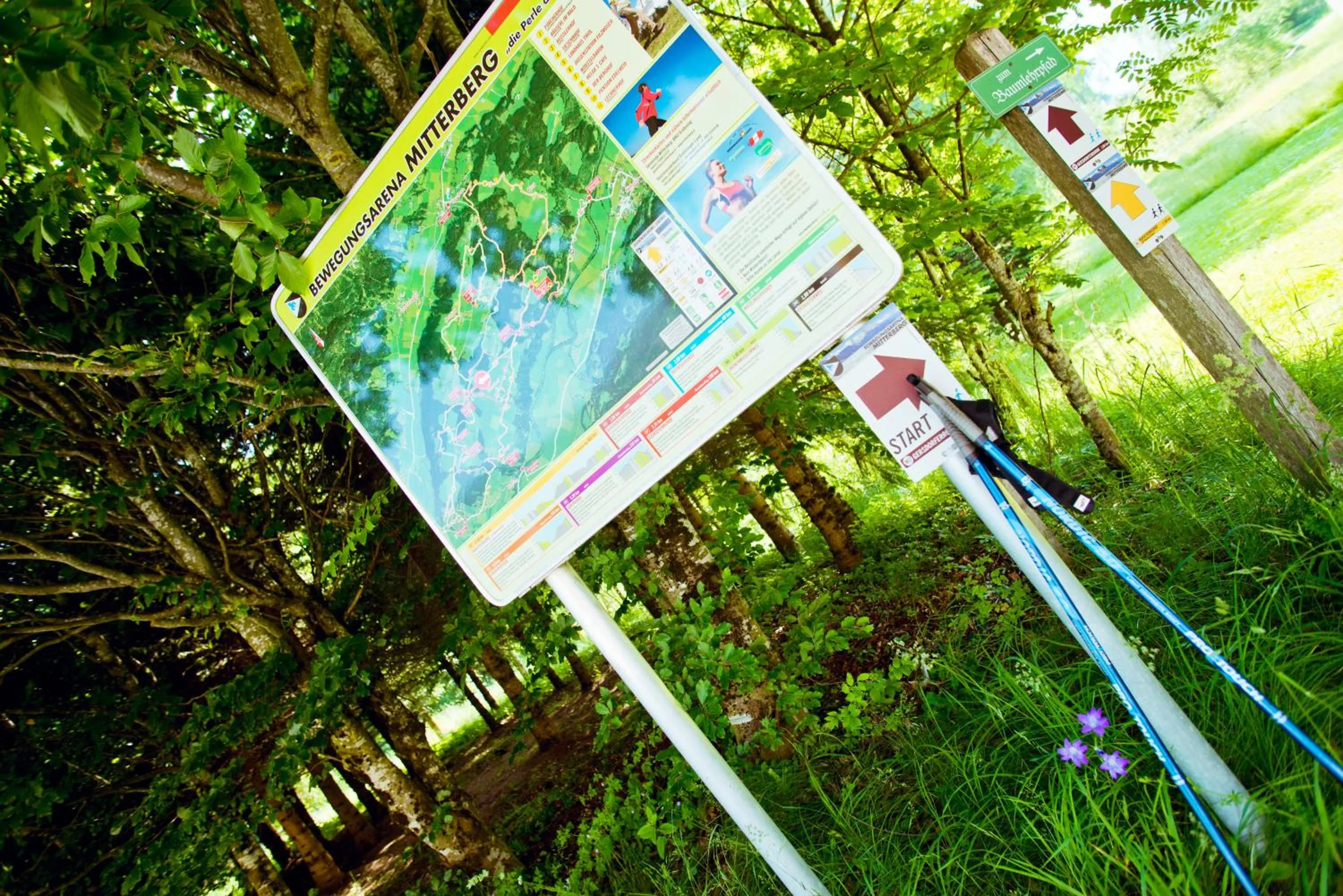 Garden in Landhotel Häuserl im Wald