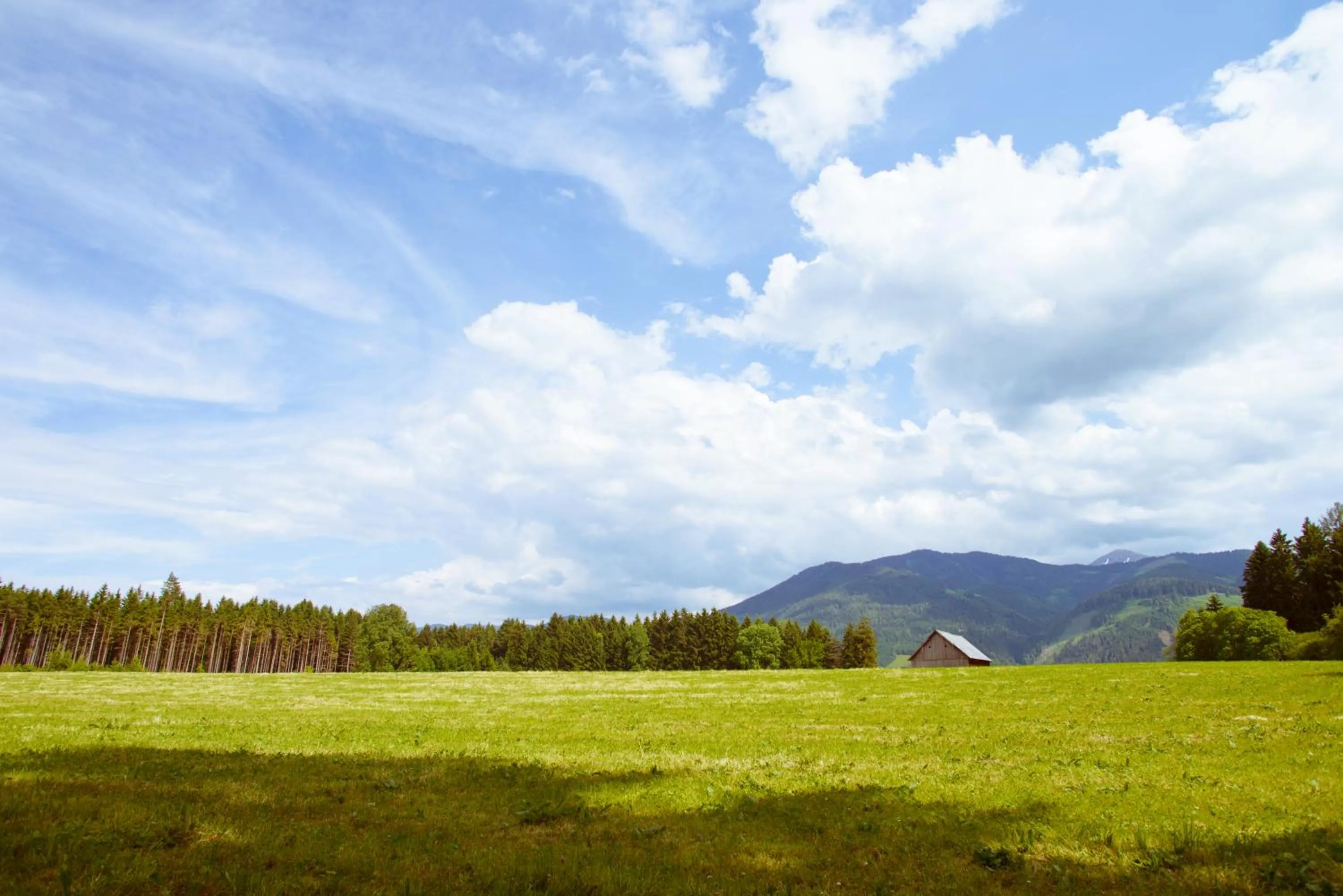Summer in Landhotel Häuserl im Wald