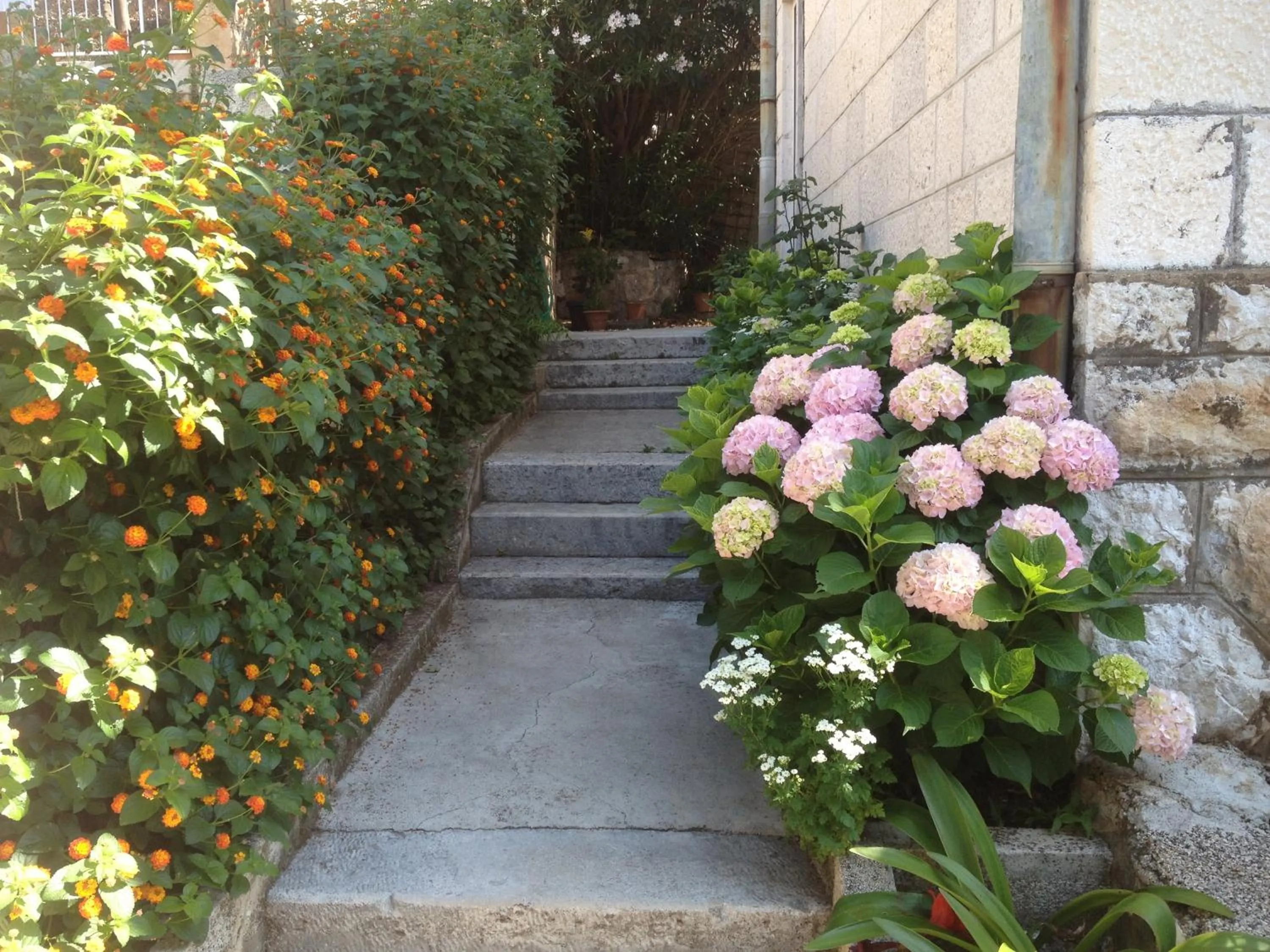 Facade/entrance in Apartment Flora