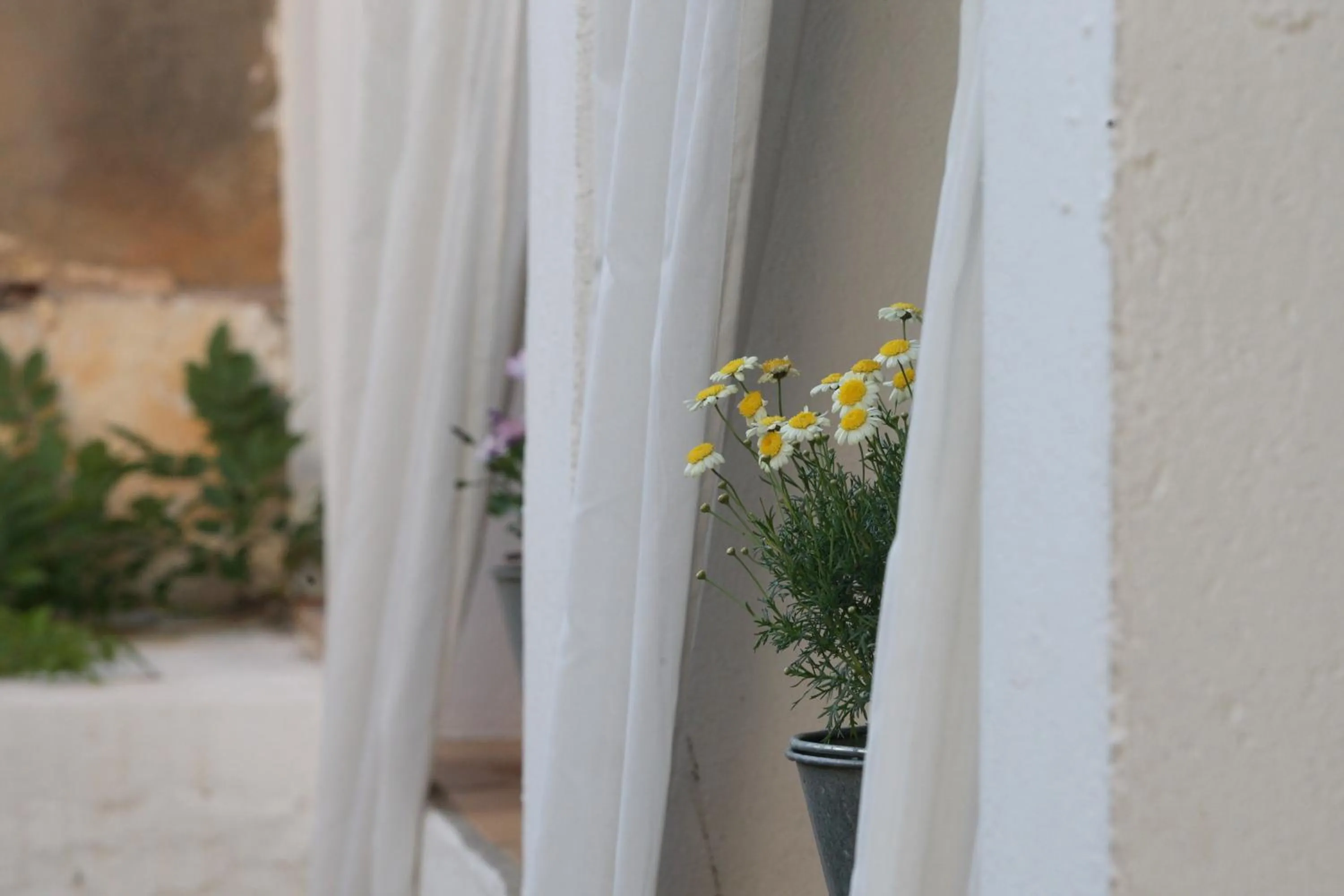 Decorative detail in BYPILLOW Cluc Begur