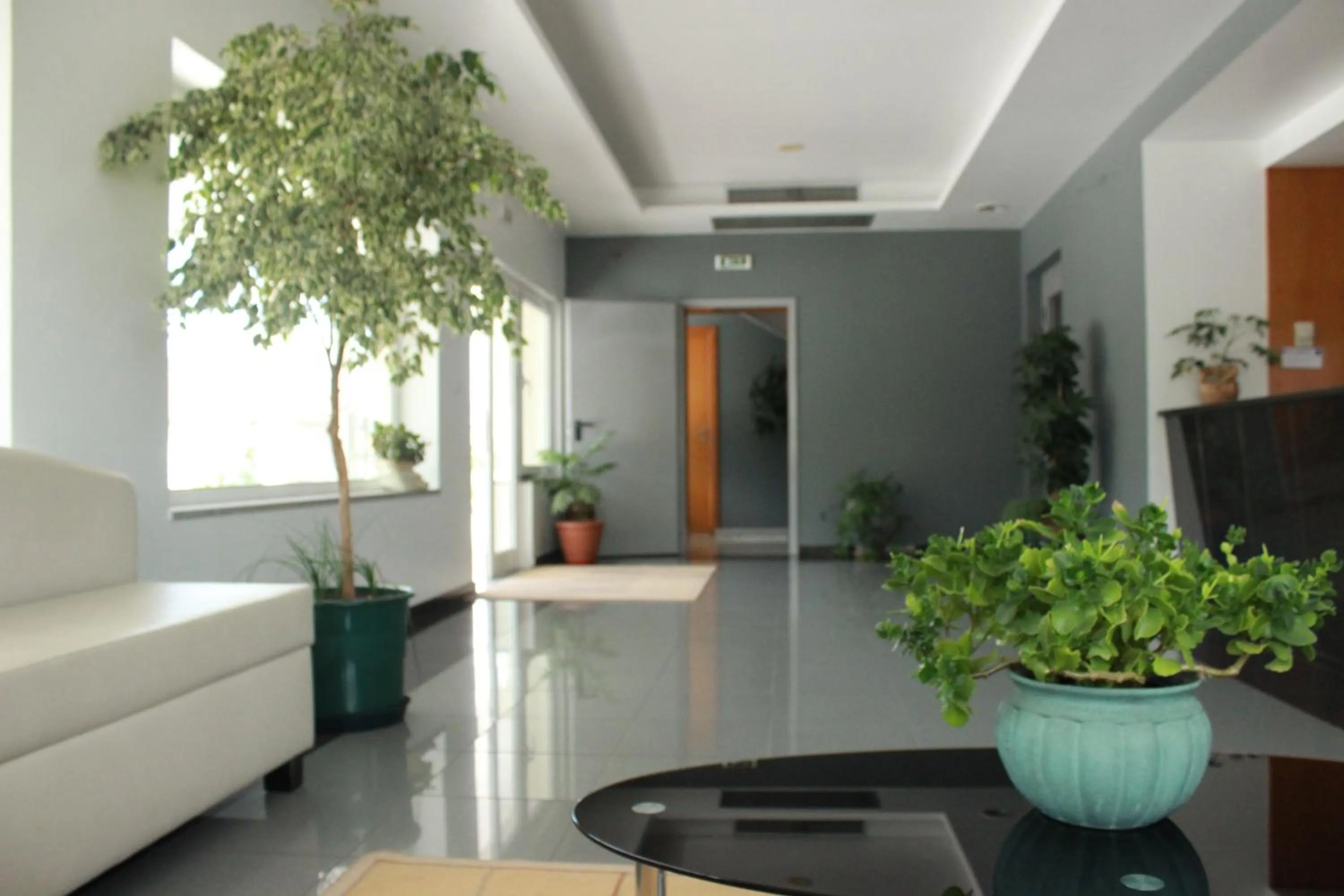 Lobby or reception in Hotel Europa