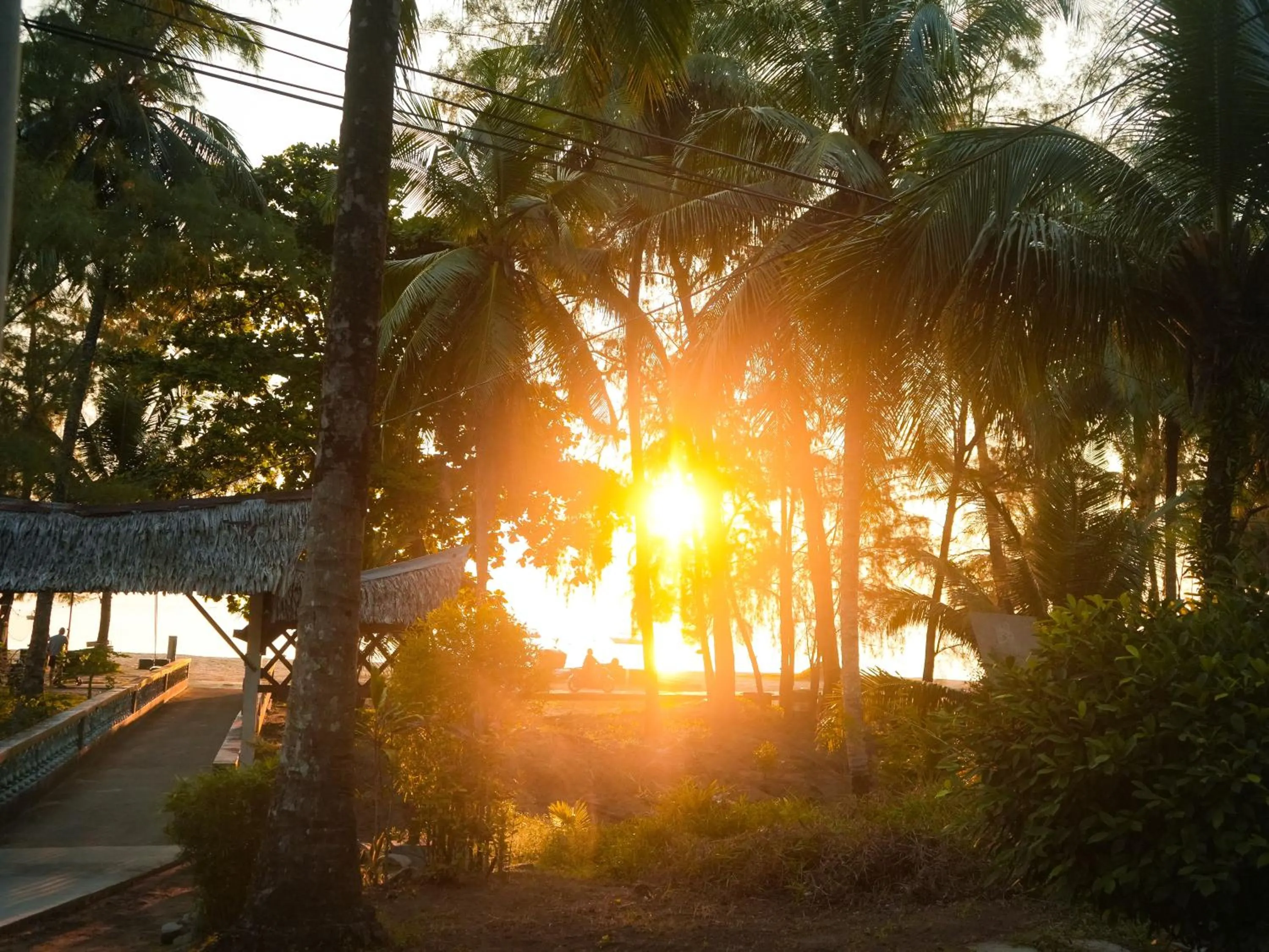 Garden in Impian Inn